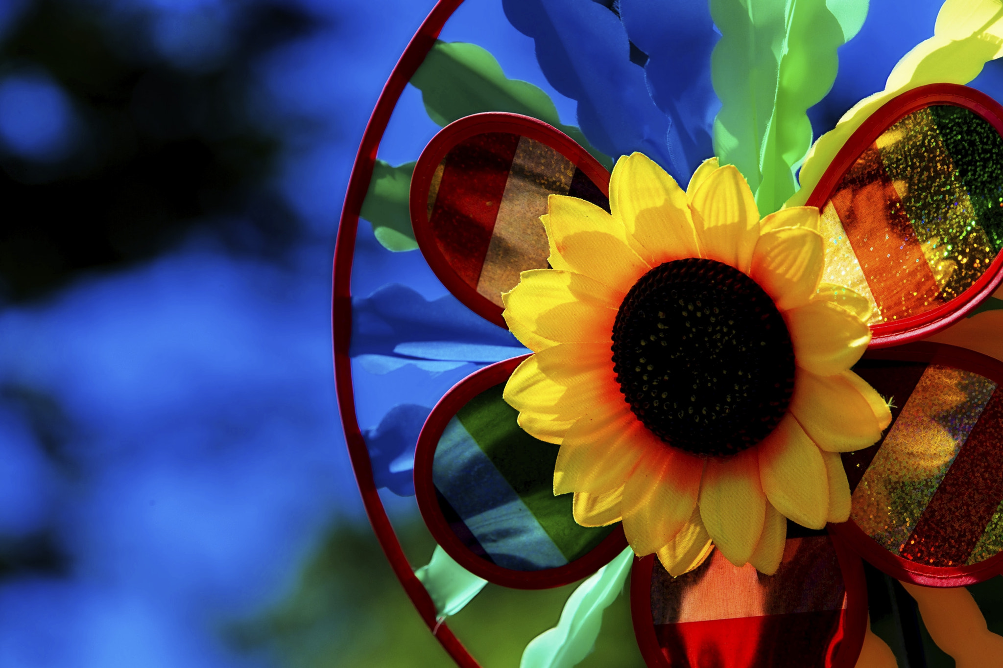 Canon EOS-1D X sample photo. Spinner #2 photography