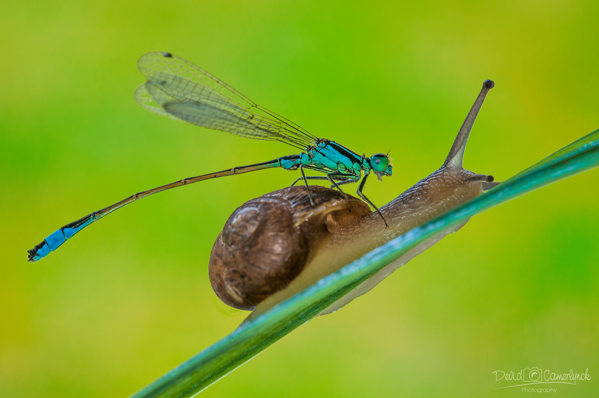Sigma APO Macro 180mm F3.5 EX DG HSM sample photo. Aircargo photography