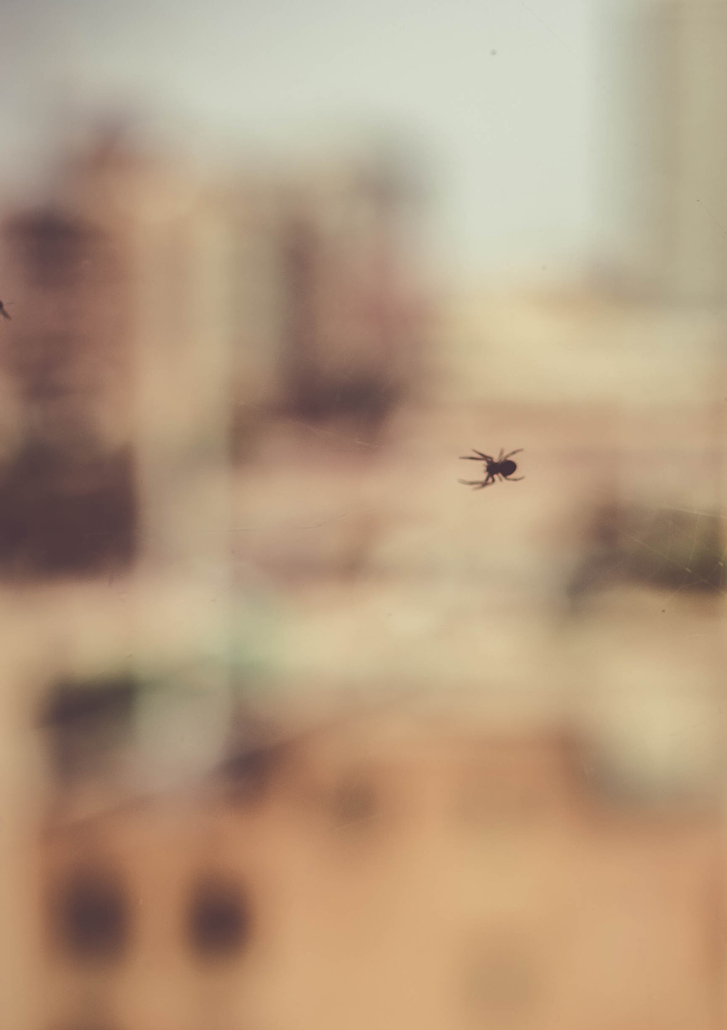 Canon EF 50mm F1.4 USM sample photo. Spider-man photography
