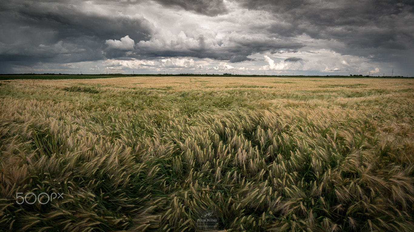 Pentax smc DA 16-45mm F4 ED AL sample photo. Before the storm photography