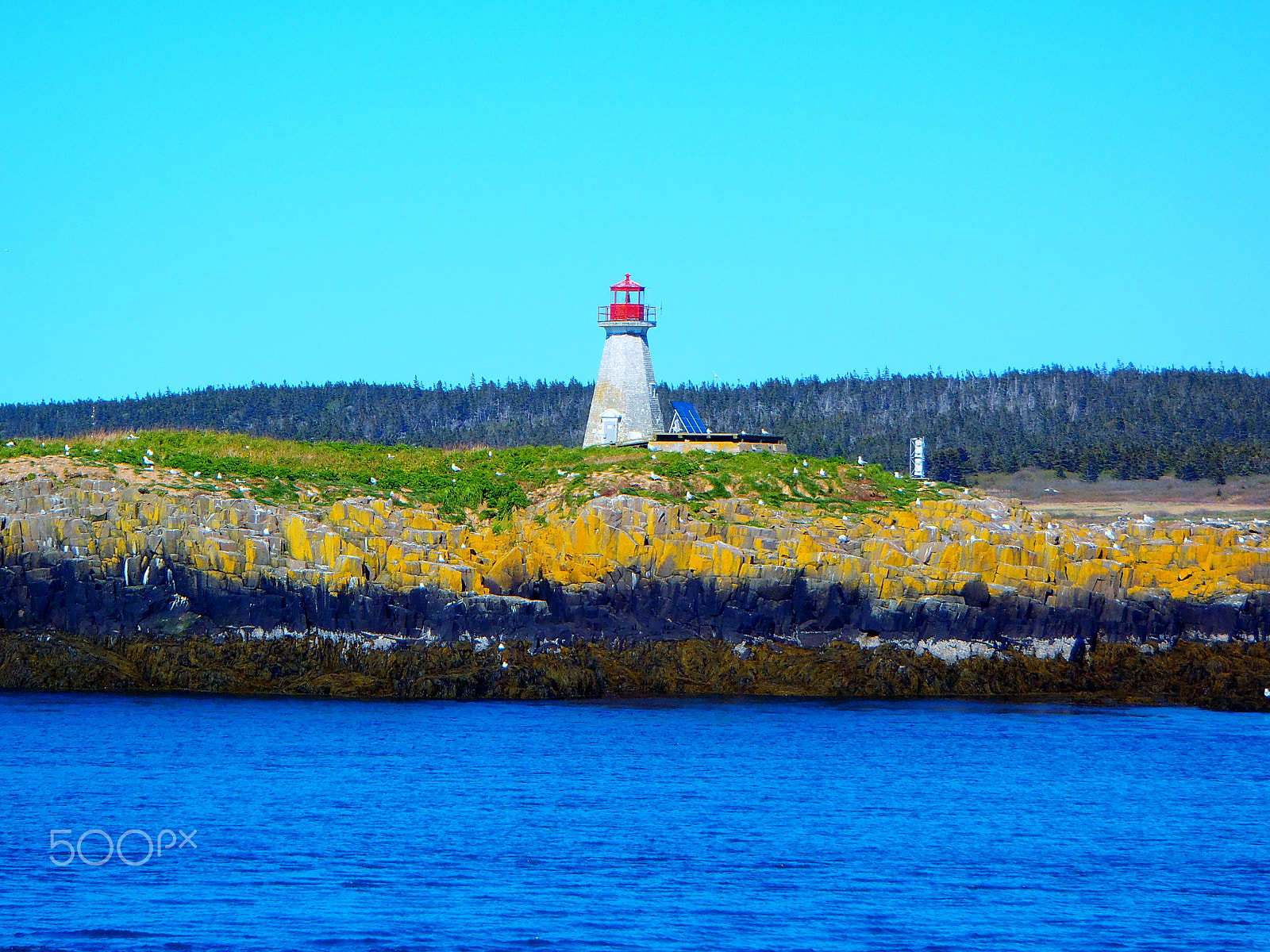 Olympus TG-610 sample photo. Peter's island lighthouse photography