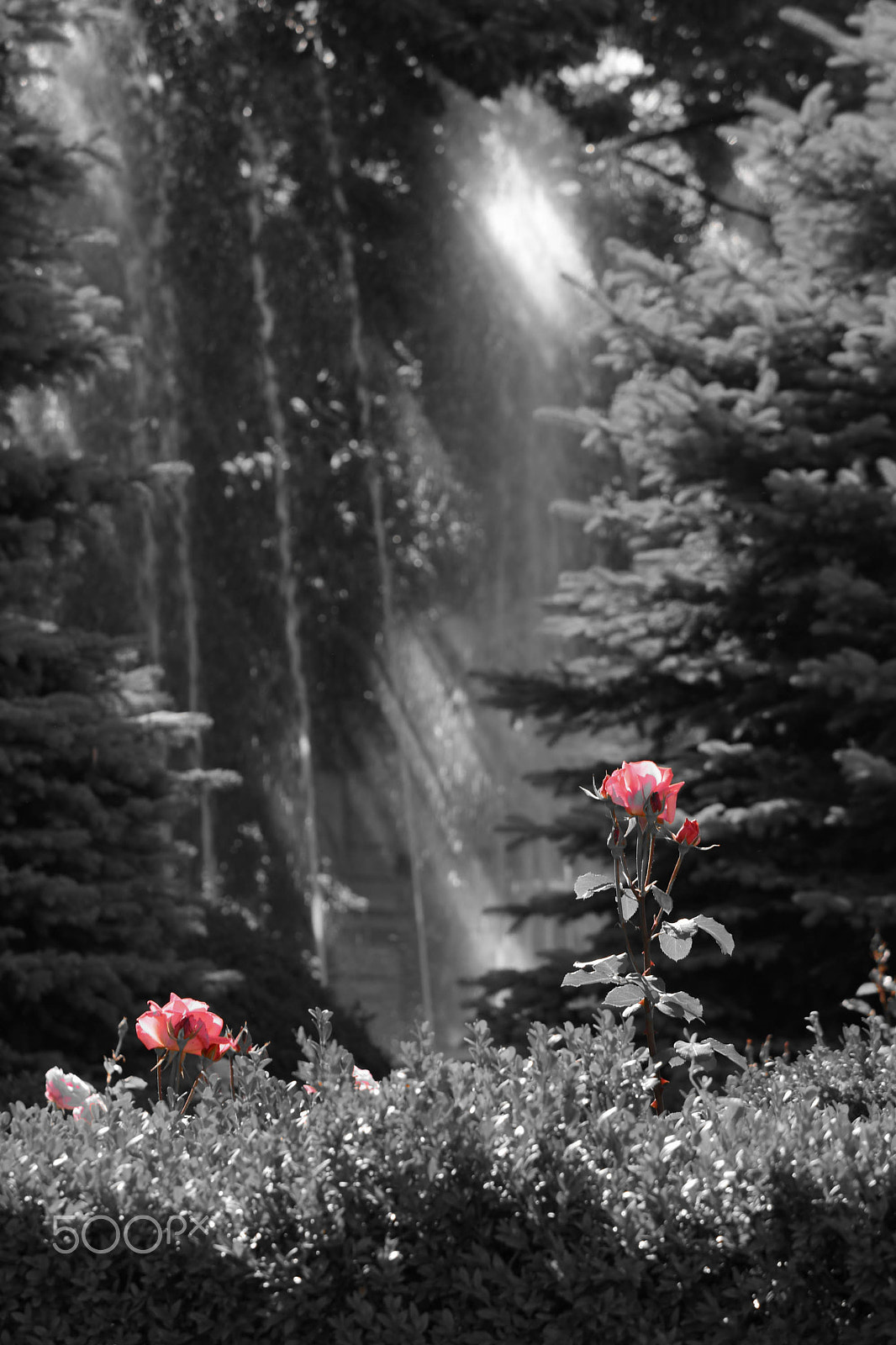 Nikon D7200 + Sigma 50-100mm F1.8 DC HSM Art sample photo. Selective colors in the city photography