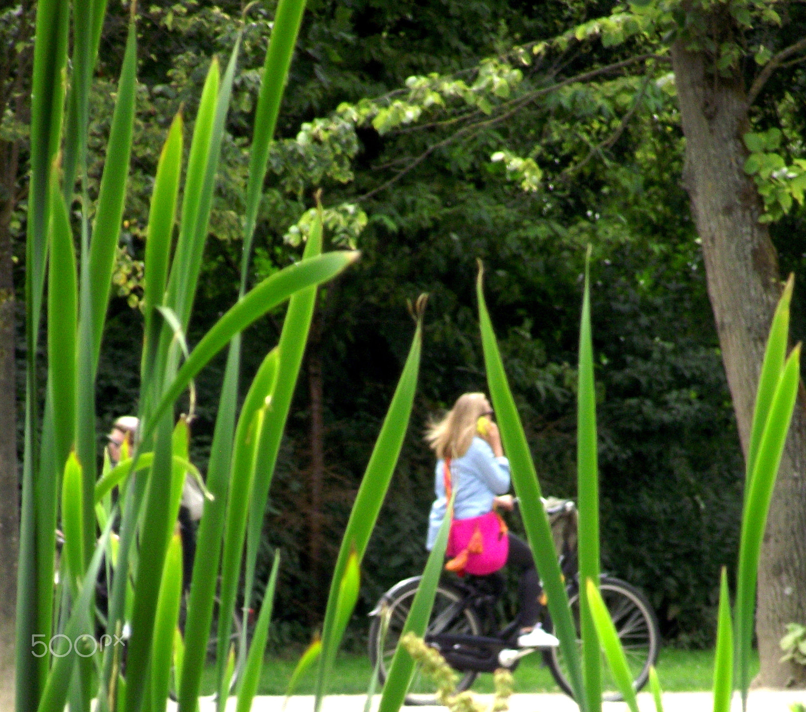 Fujifilm FinePix S1730 sample photo. Girl on phone vondel park amsterdam photography