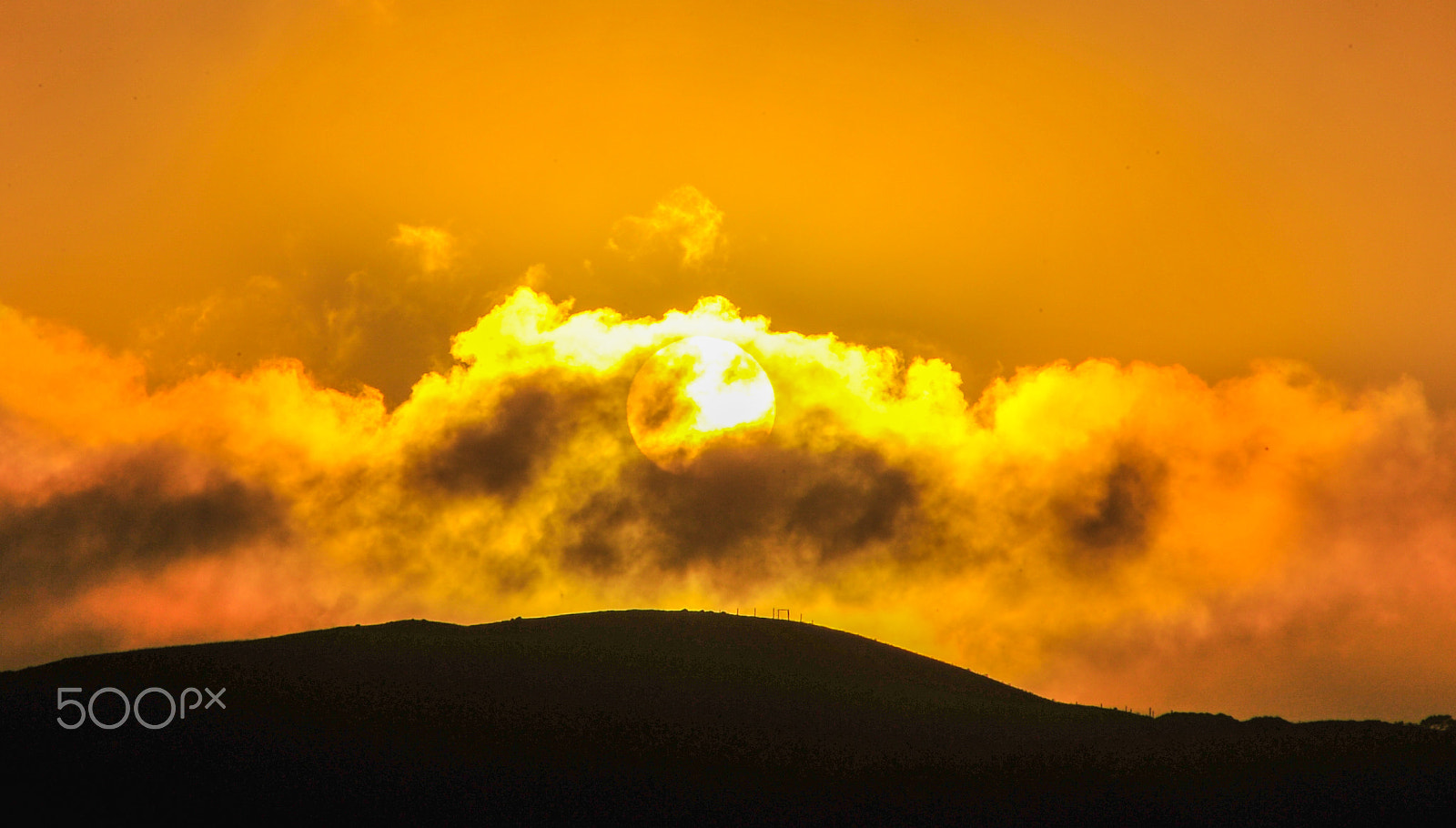 Nikon D3S sample photo. Sunrise over wellington today photography