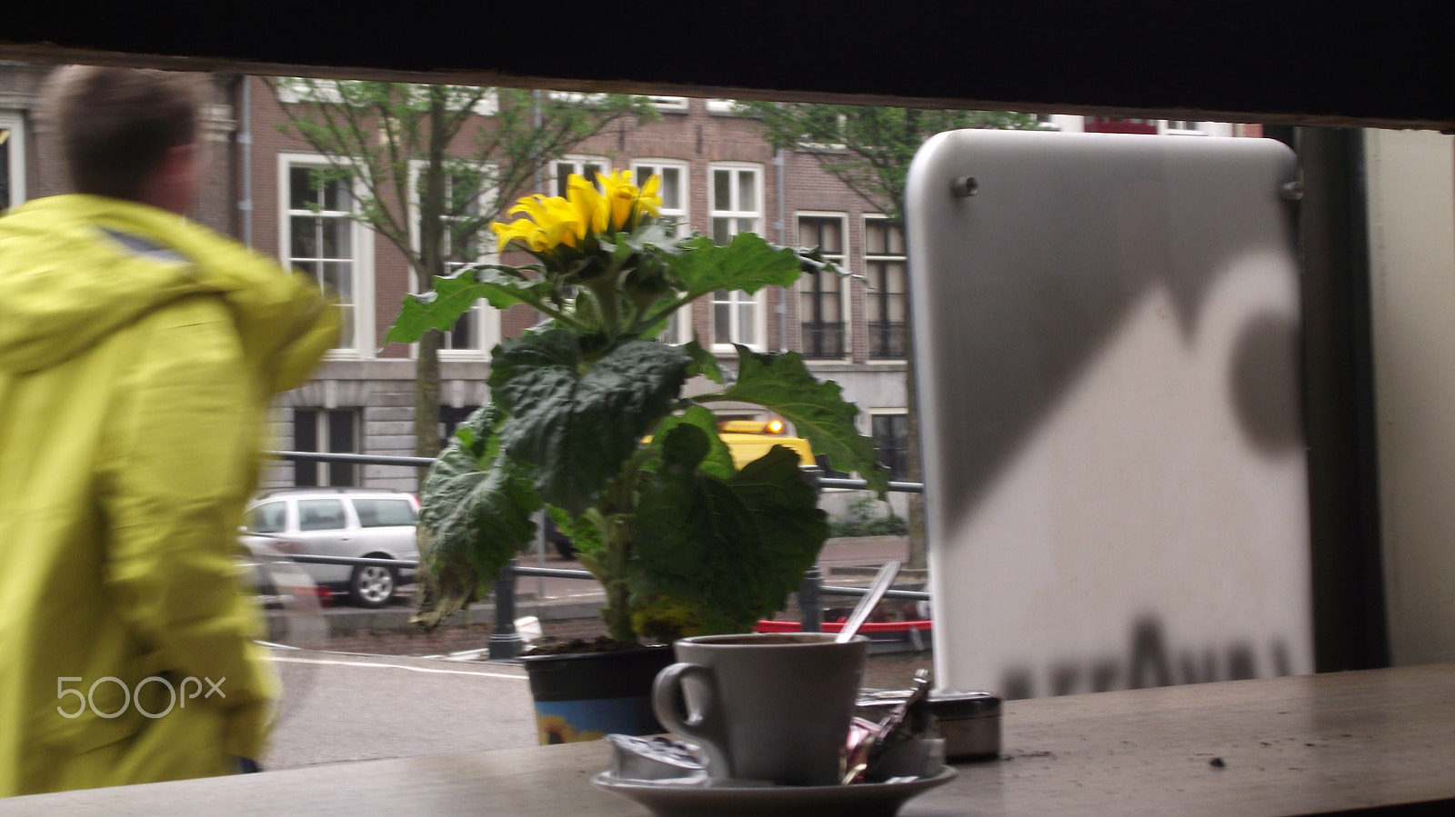 Fujifilm FinePix S1730 sample photo. Through a window photography