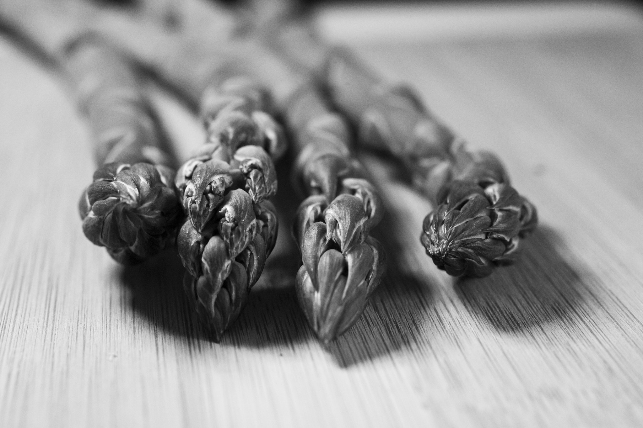 Canon EOS 6D + Canon EF 50mm F2.5 Macro sample photo. Asparagus photography