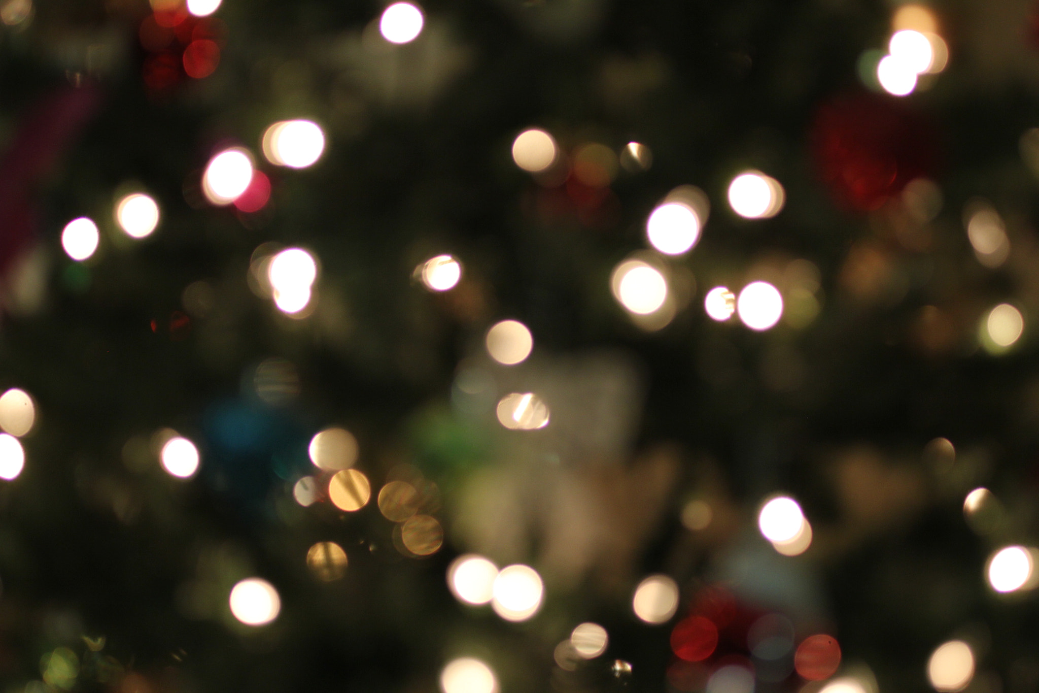 Canon EOS 60D + Canon EF 50mm F2.5 Macro sample photo. Christmas tree light () photography