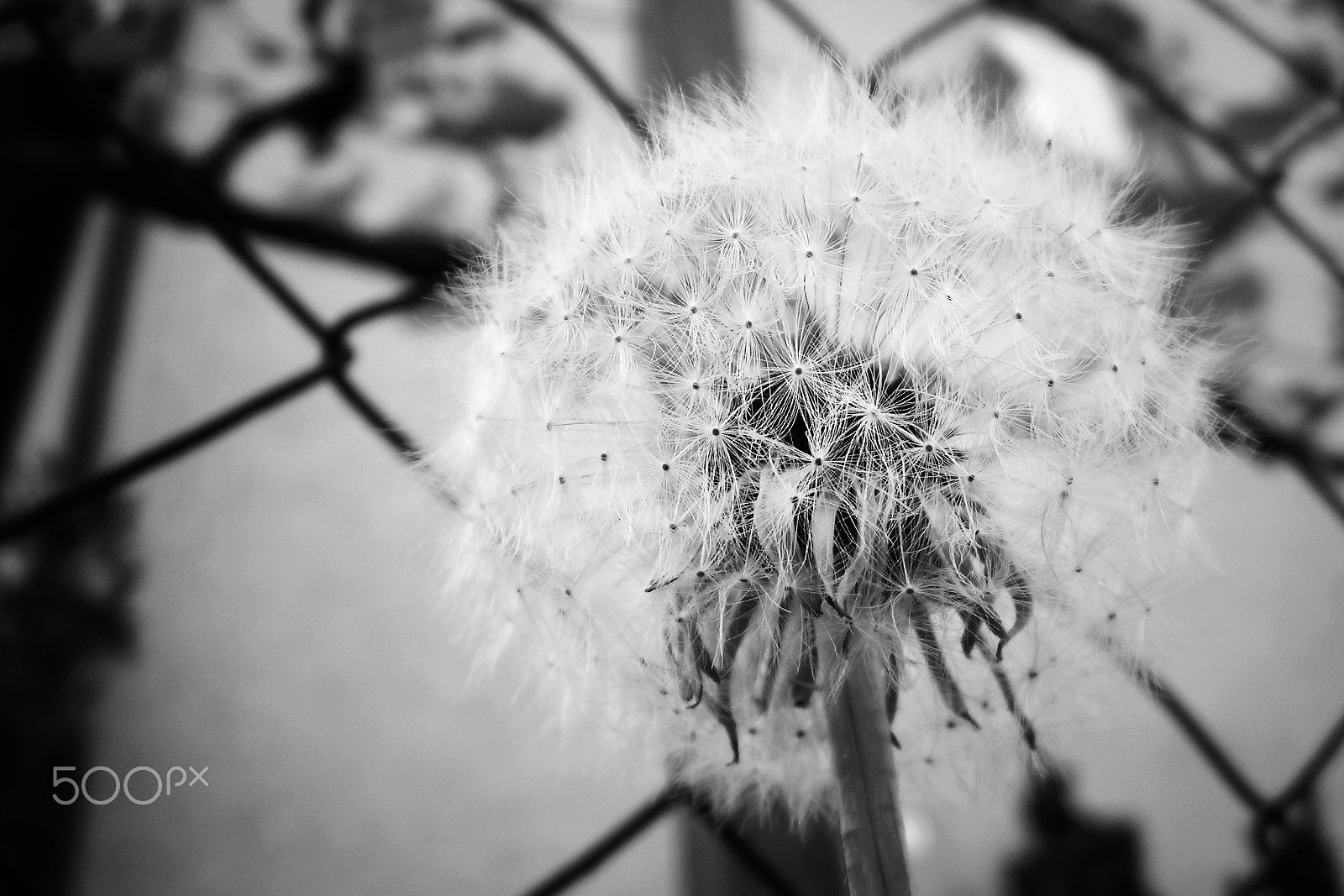 Olympus FE-130,X-720 sample photo. ... photography