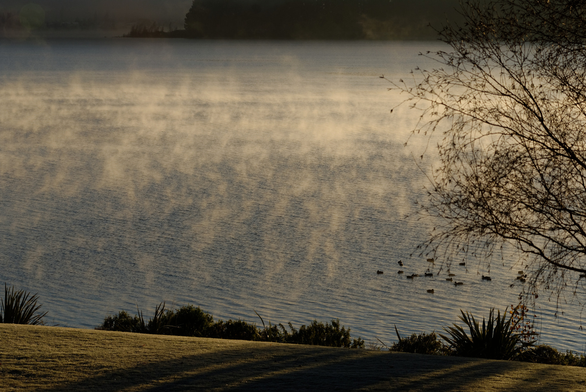 Nikon AF-Nikkor 80-200mm F2.8D ED sample photo. Laka wanaka mist photography
