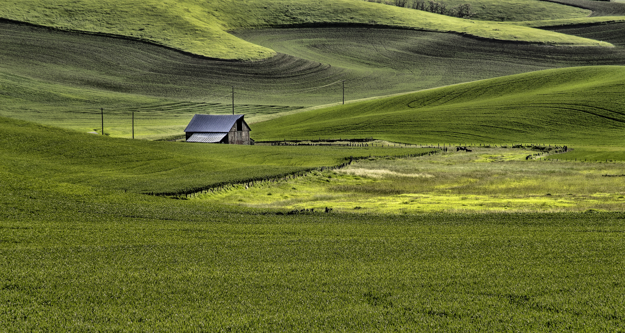 Sony 75-300mm F4.5-5.6 sample photo. Barn photography