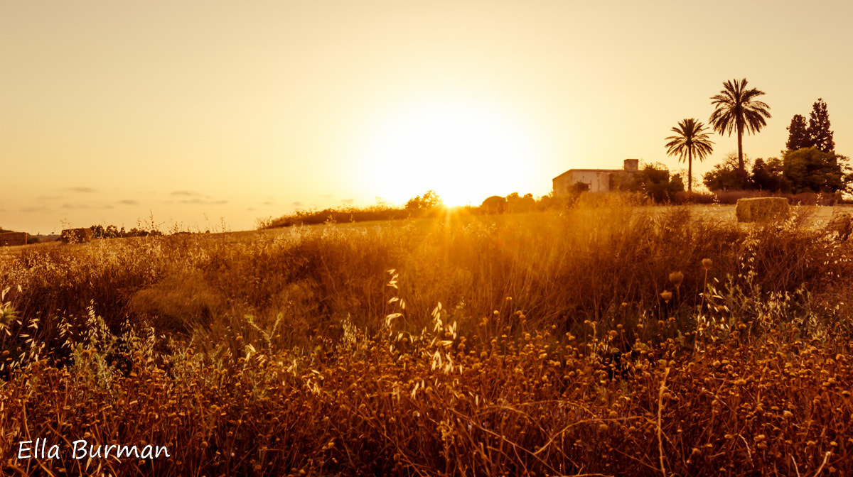 Canon EF 16-35mm F2.8L II USM sample photo. Abandoned house at sunset photography
