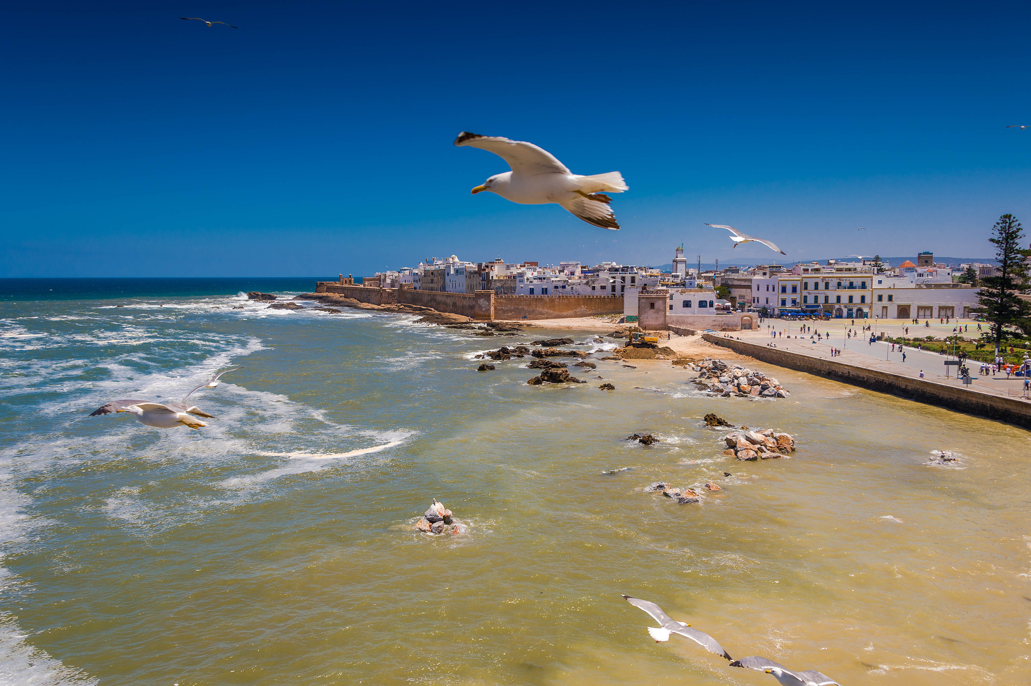 Nikon D4S + Nikon AF-S Nikkor 28-300mm F3.5-5.6G ED VR sample photo. Essaouira photography