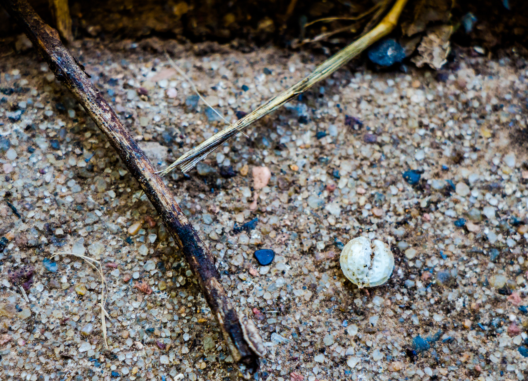 Canon EOS M sample photo. Wasp nest down photography