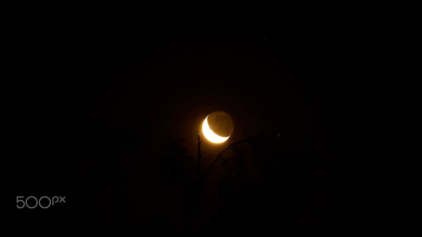 Sony DT 55-200mm F4-5.6 SAM sample photo. Moon photography
