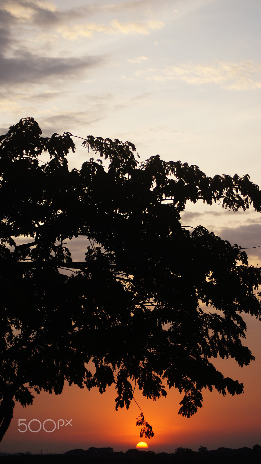 Sony DT 55-200mm F4-5.6 SAM sample photo. Sunset photography