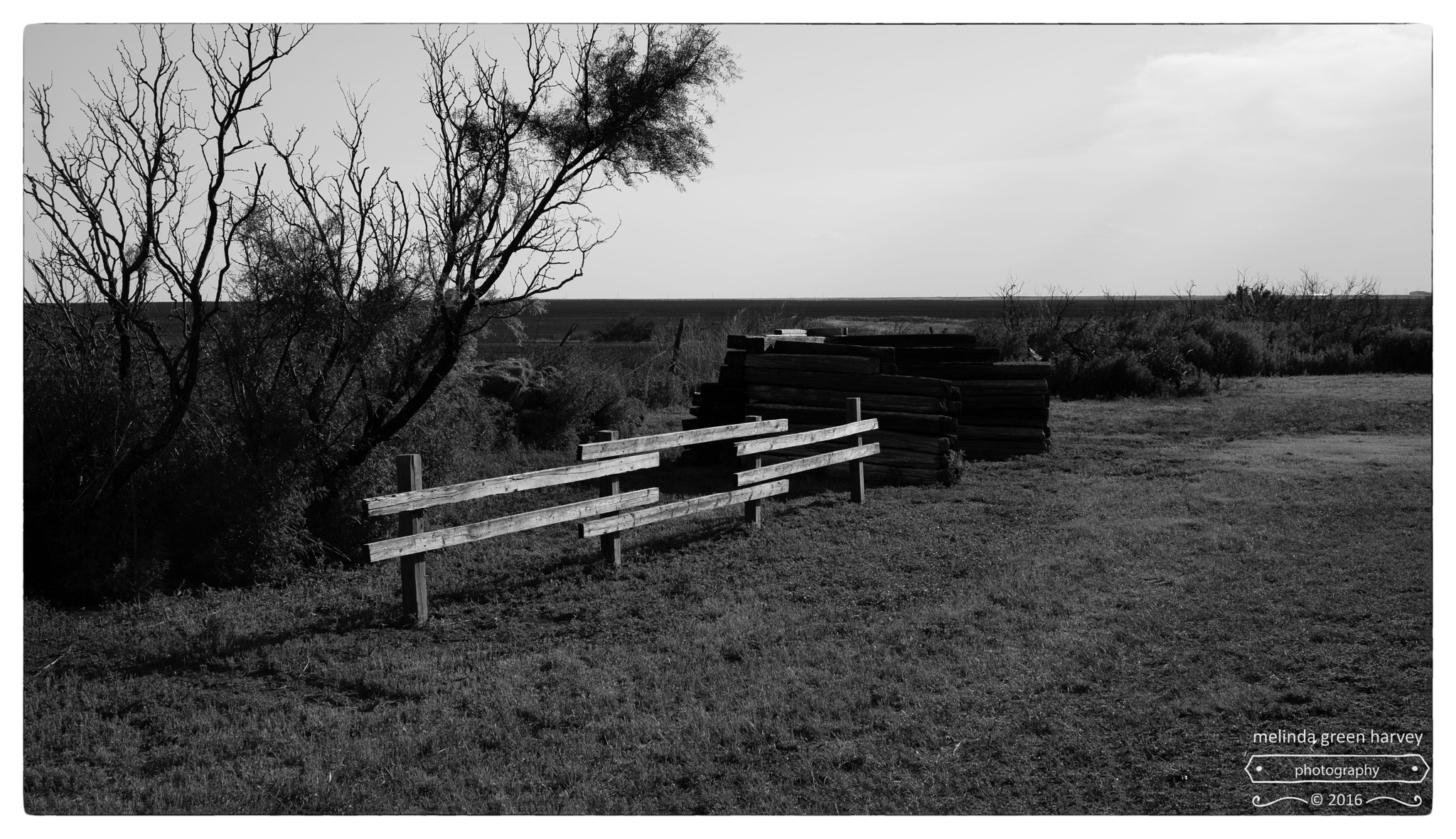 Leica Summarit-M 50mm F2.4 sample photo. The fence photography