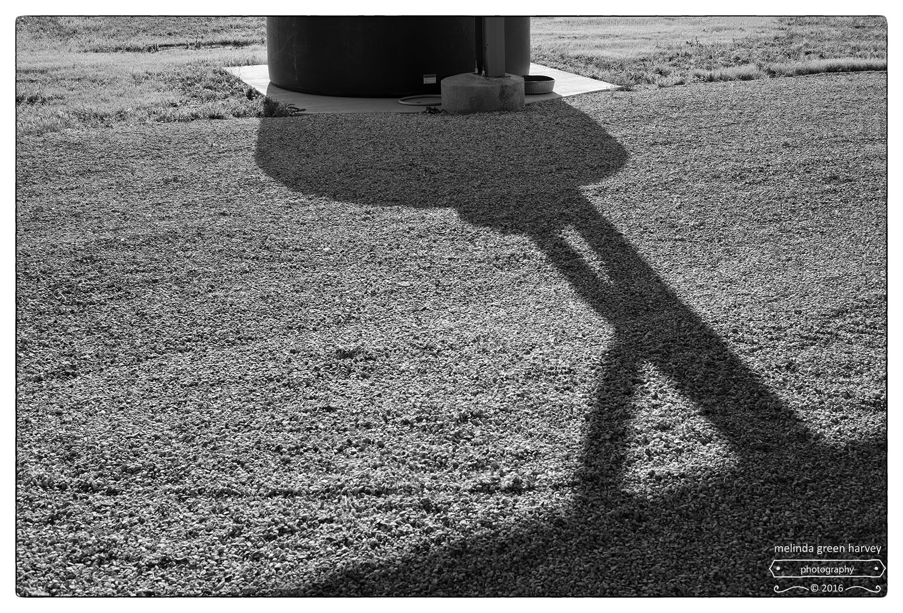 Leica Summarit-M 50mm F2.4 sample photo. The long legs of evening photography