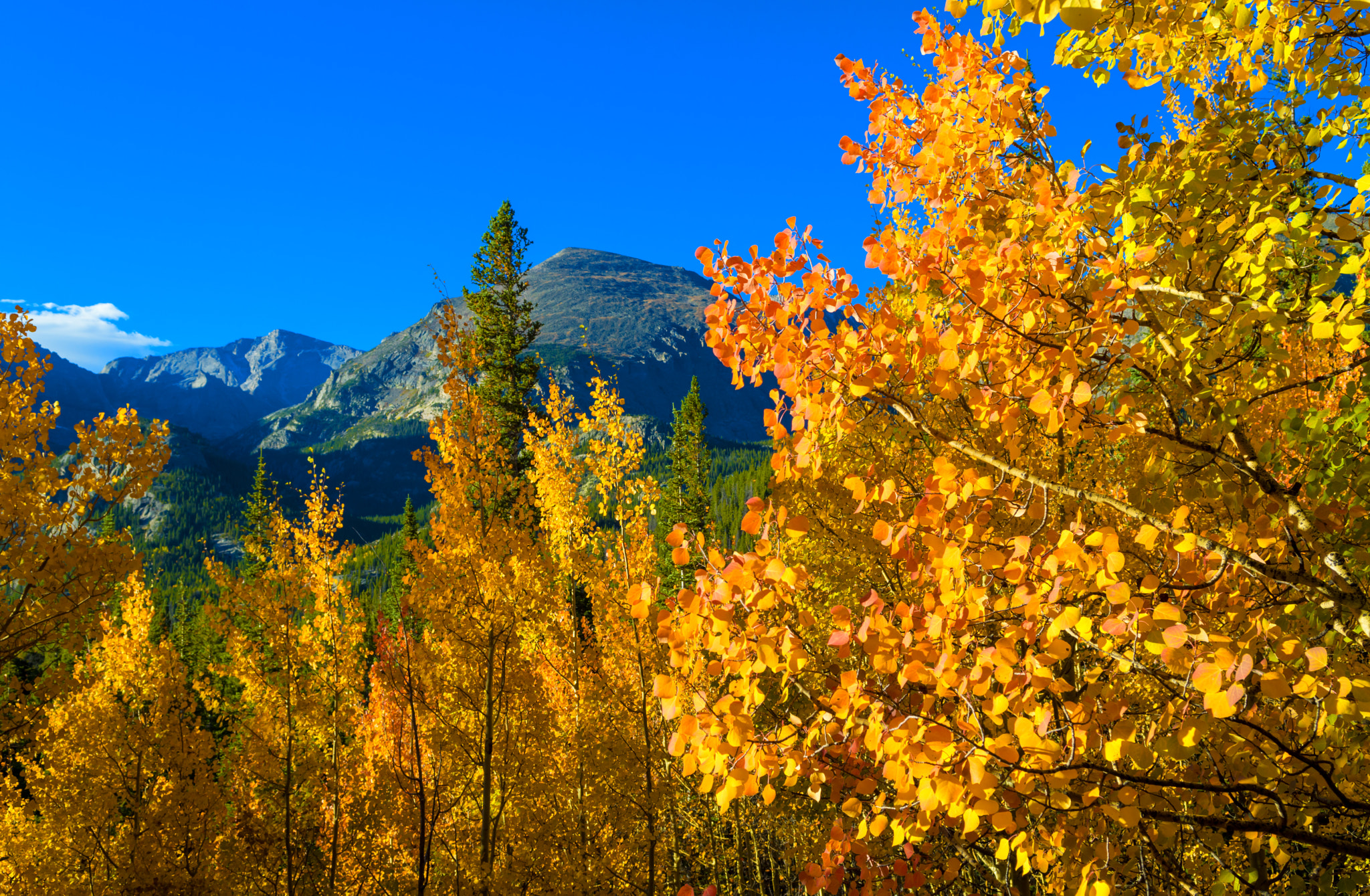 Nikon D3200 + Nikon AF-S DX Nikkor 17-55mm F2.8G ED-IF sample photo. Fall in rocky mountain national park photography