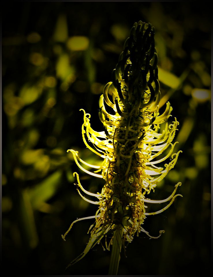 70.00 - 300.00 mm f/4.0 - 5.6 sample photo. The light... photography