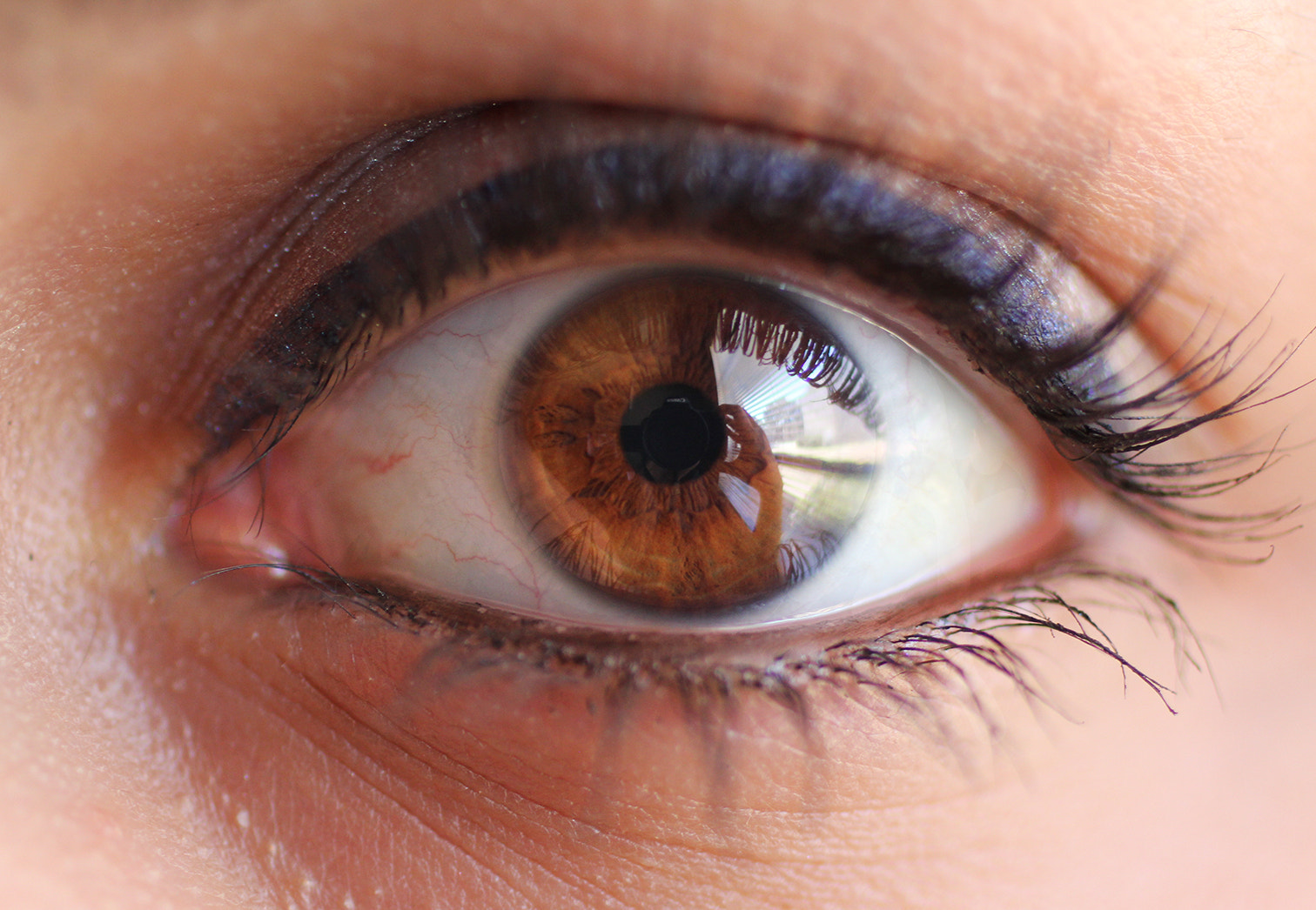 Canon EOS 60D + Canon EF 50mm F2.5 Macro sample photo. Img tanyaeye photography
