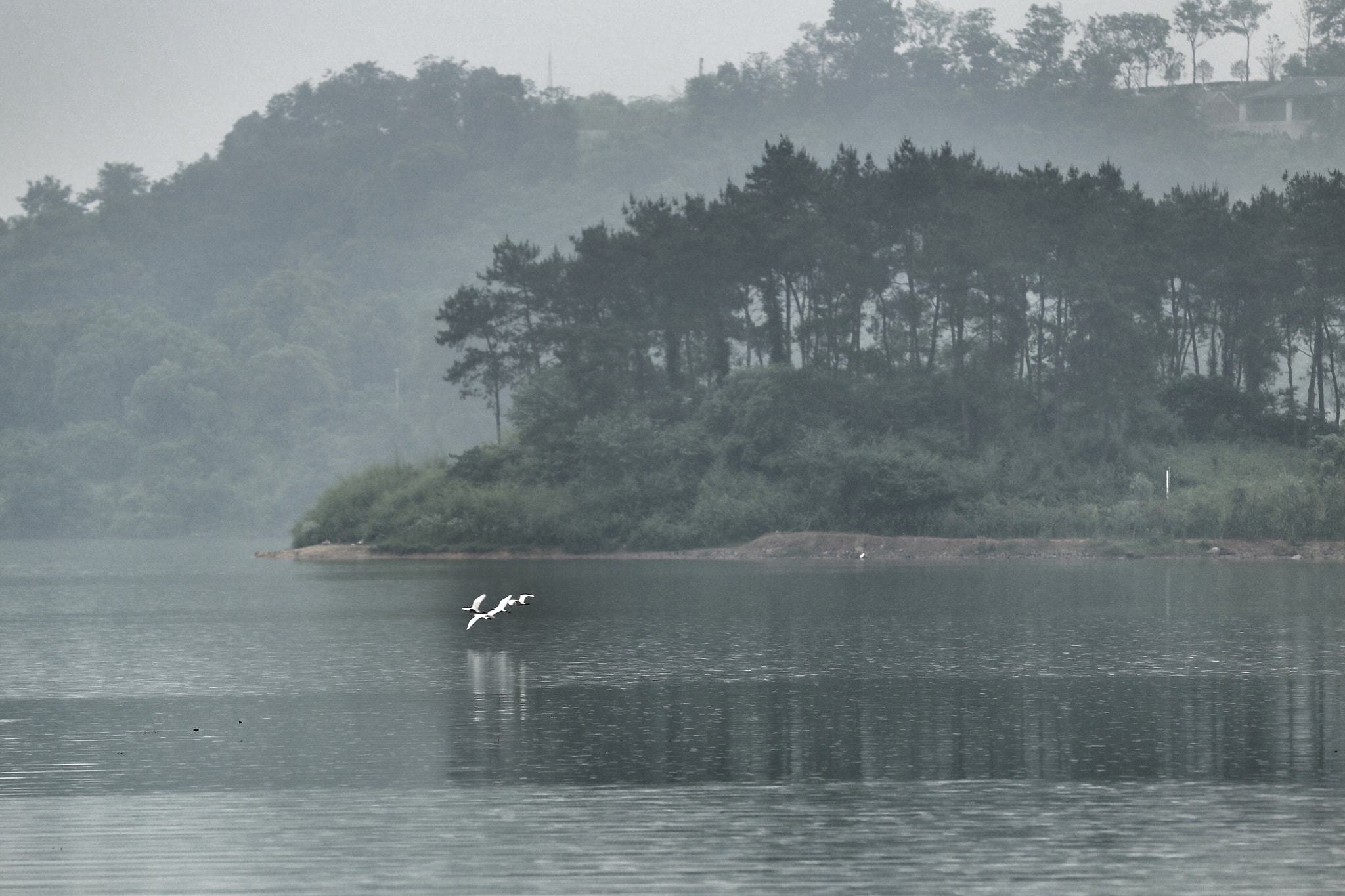 Canon EF 70-200mm F2.8L IS II USM sample photo. 天目湖 photography