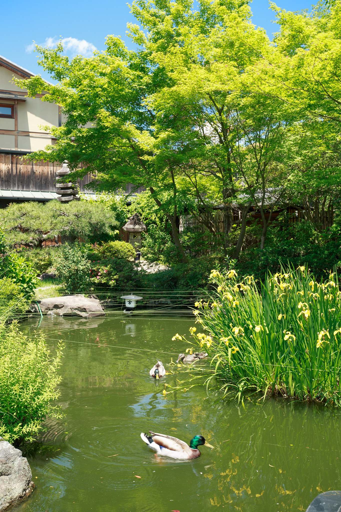 Canon EOS-1D X + Canon EF 16-35mm F4L IS USM sample photo