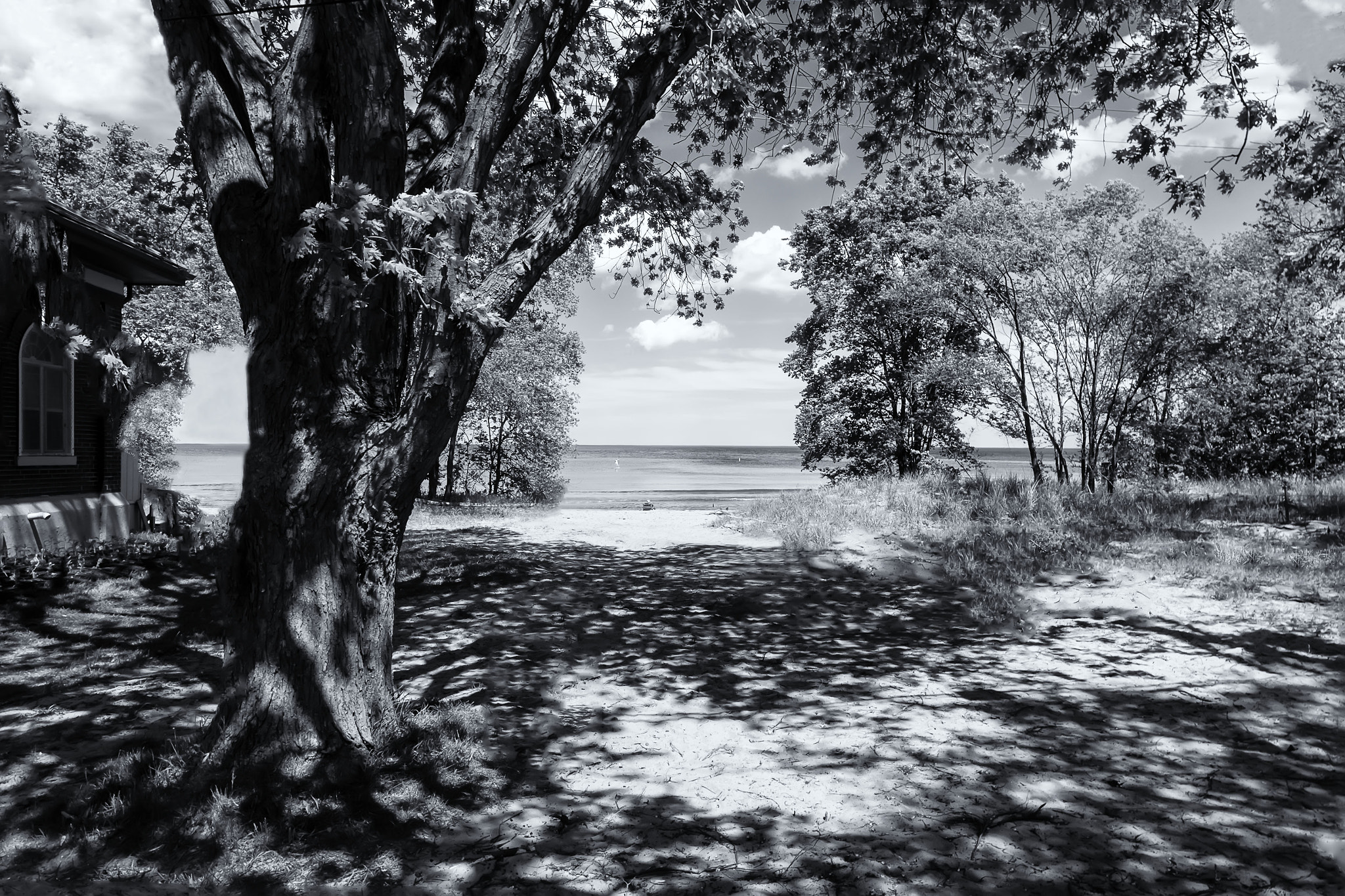 Fujifilm XC 16-50mm F3.5-5.6 OIS sample photo. I'm done. photography