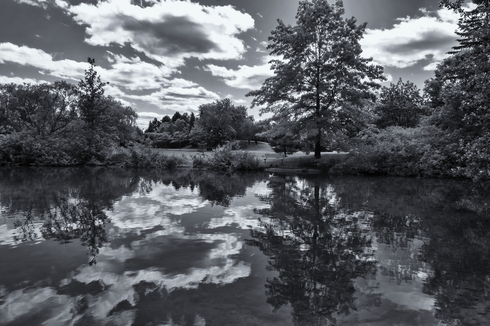 Fujifilm XC 16-50mm F3.5-5.6 OIS sample photo. J. c. saddington park. photography