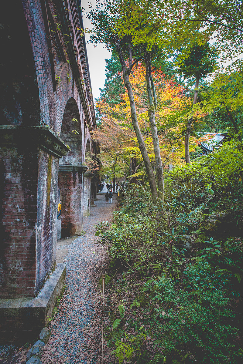 Canon EF 16-35mm F2.8L II USM sample photo. Walking kyoto photography