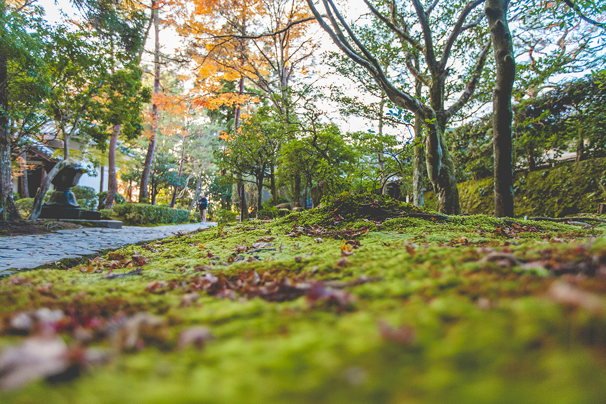 Canon EF 16-35mm F2.8L II USM sample photo. Walking kyoto photography