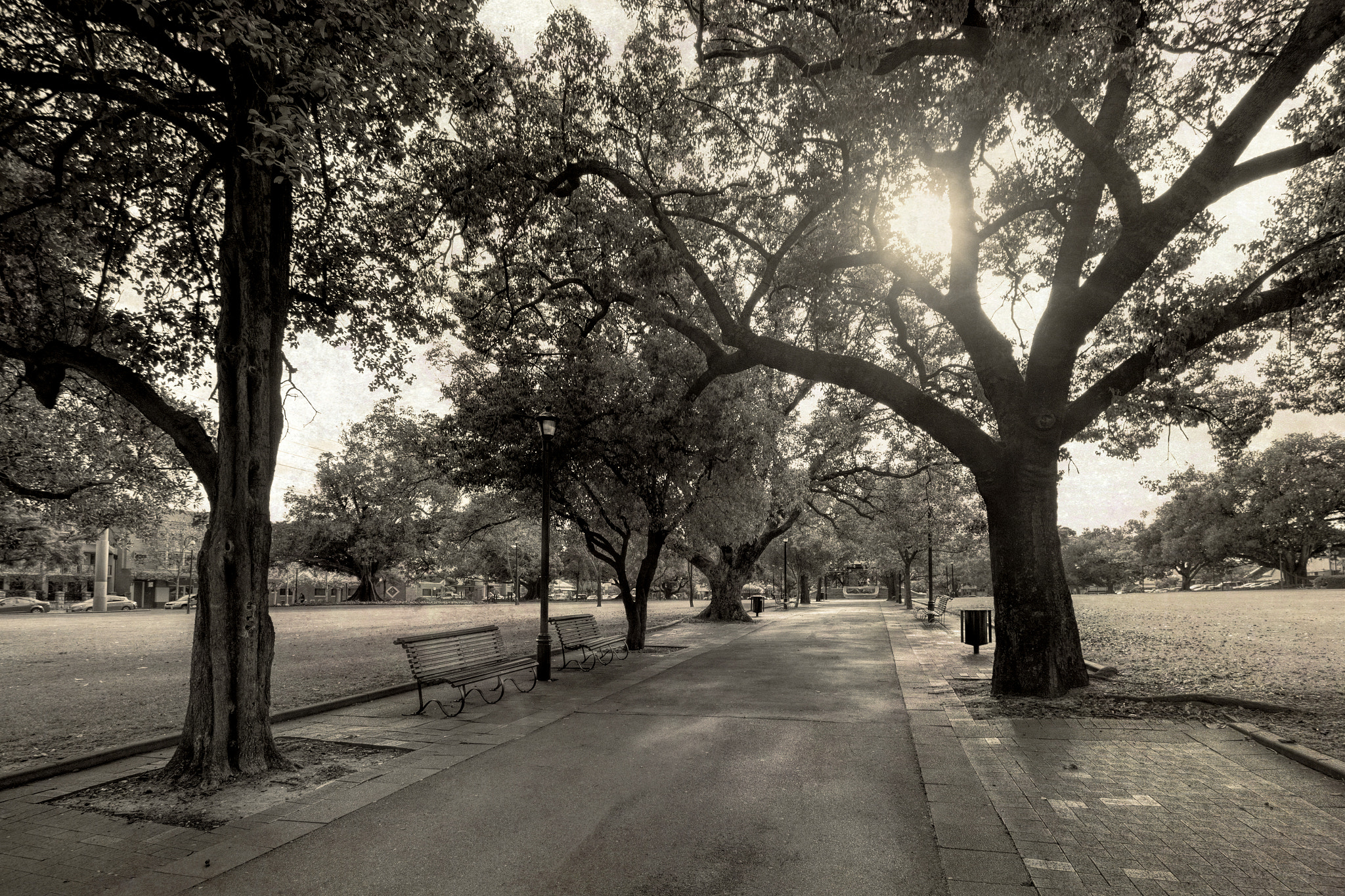 Sigma 10-20mm F3.5 EX DC HSM sample photo. Empty park photography