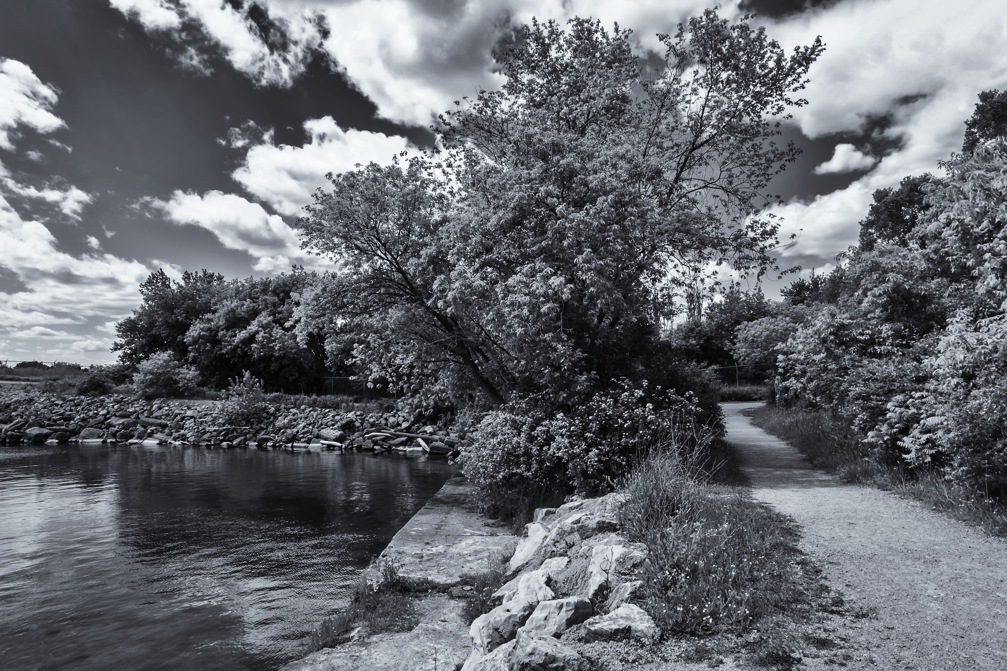 Fujifilm XC 16-50mm F3.5-5.6 OIS sample photo. J. c. saddington park photography