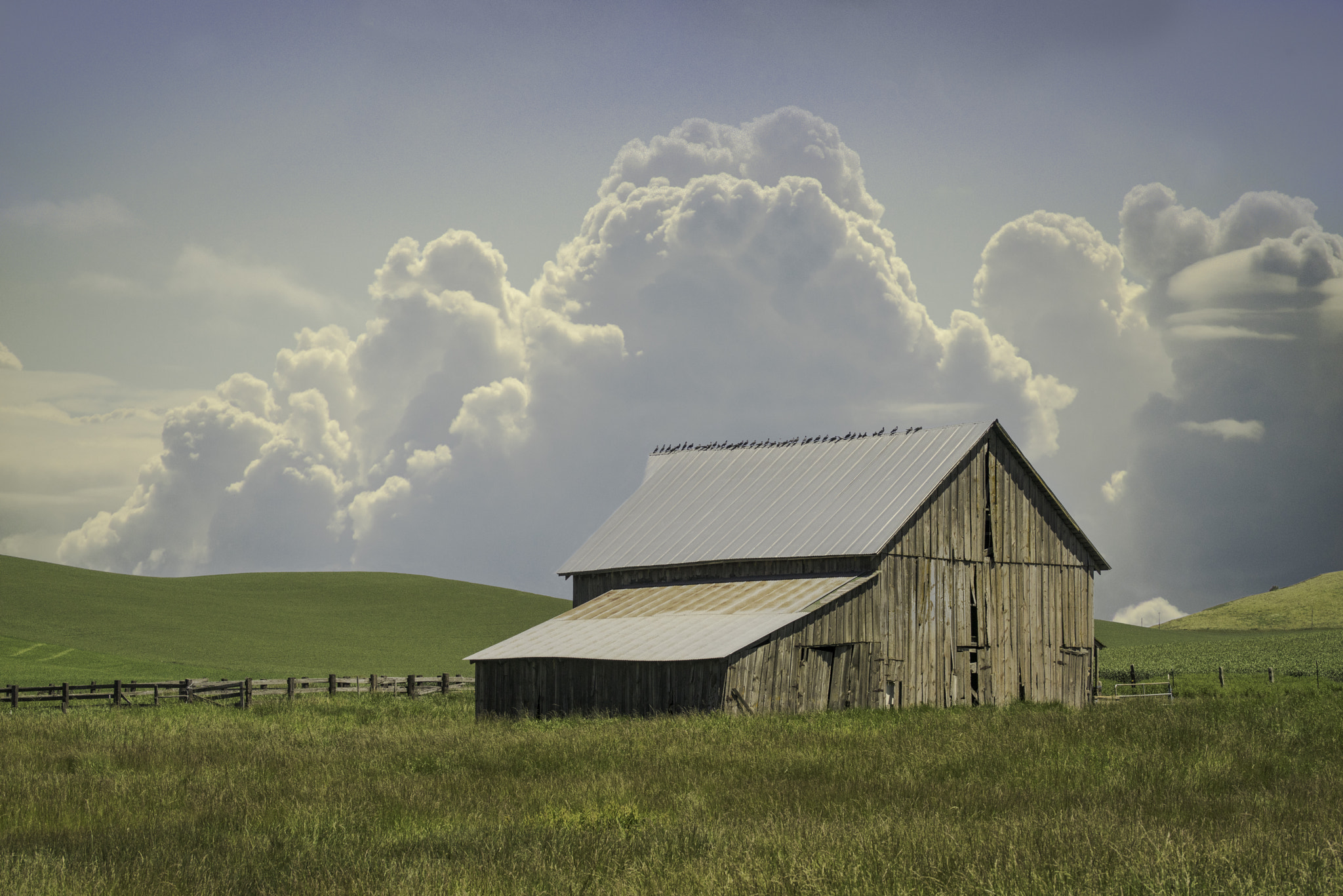 Sony 75-300mm F4.5-5.6 sample photo. Old barn photography