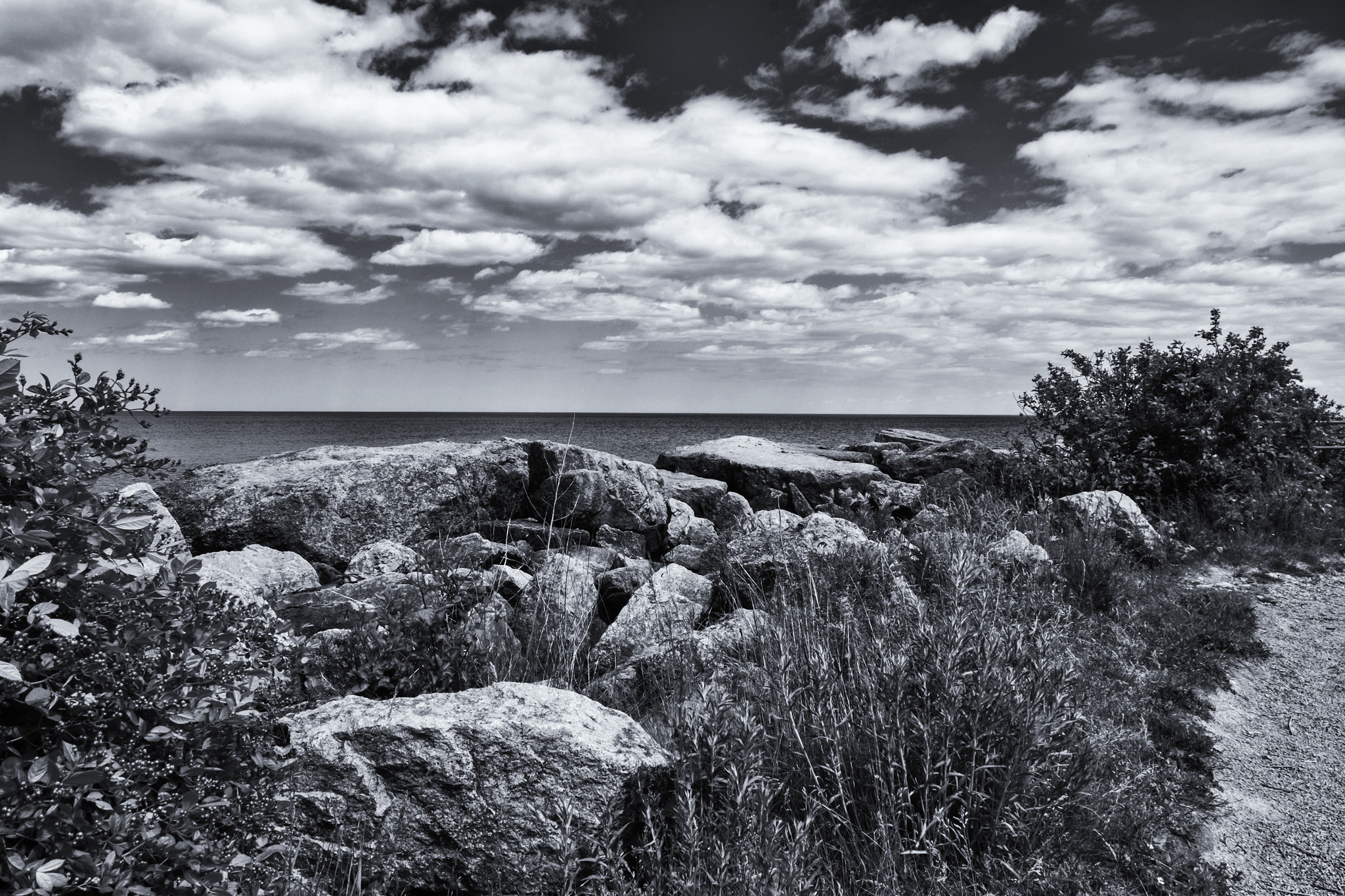 Fujifilm XC 16-50mm F3.5-5.6 OIS sample photo. J. c. saddington park photography