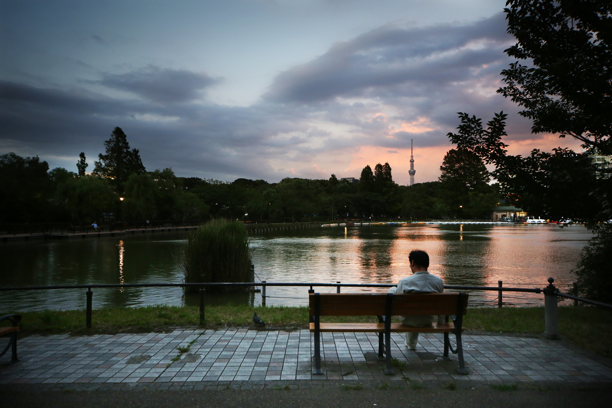 Canon EOS 6D + Sigma 10-20mm F4-5.6 EX DC HSM sample photo. Bench ueno photography