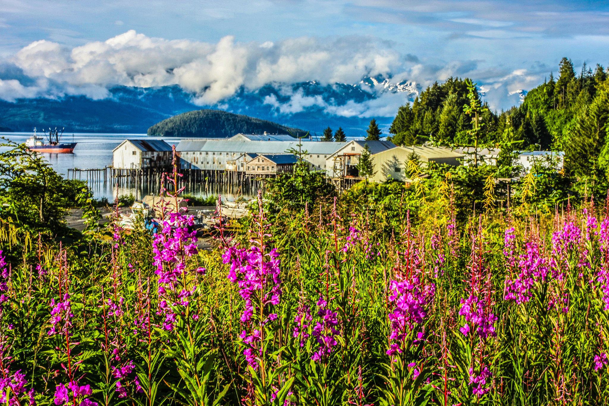 Canon EOS 40D + Canon EF 135mm F2.8 SF sample photo. Cannery row, cordova, ak photography