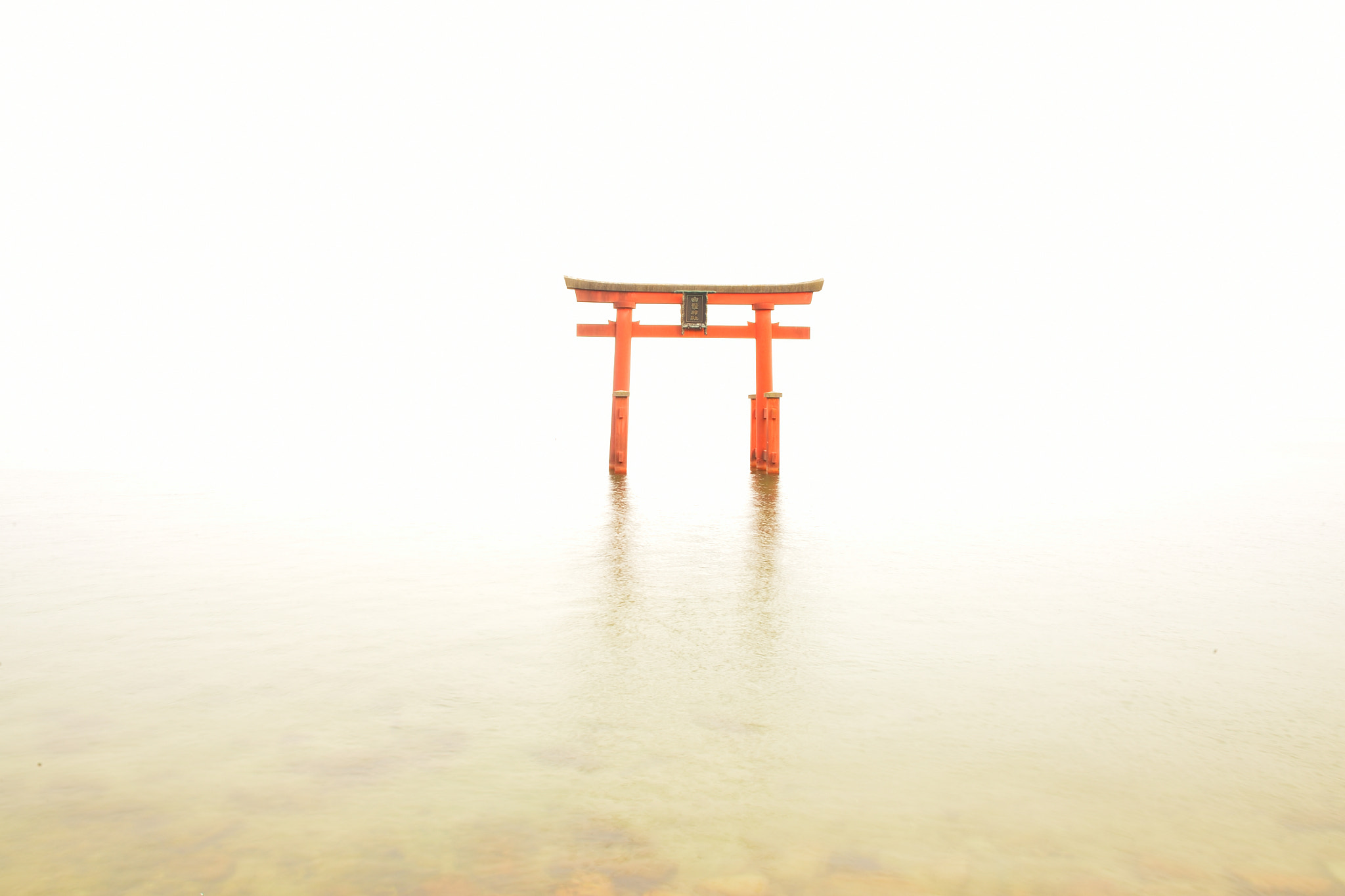 Nikon Df sample photo. Freestyle photography