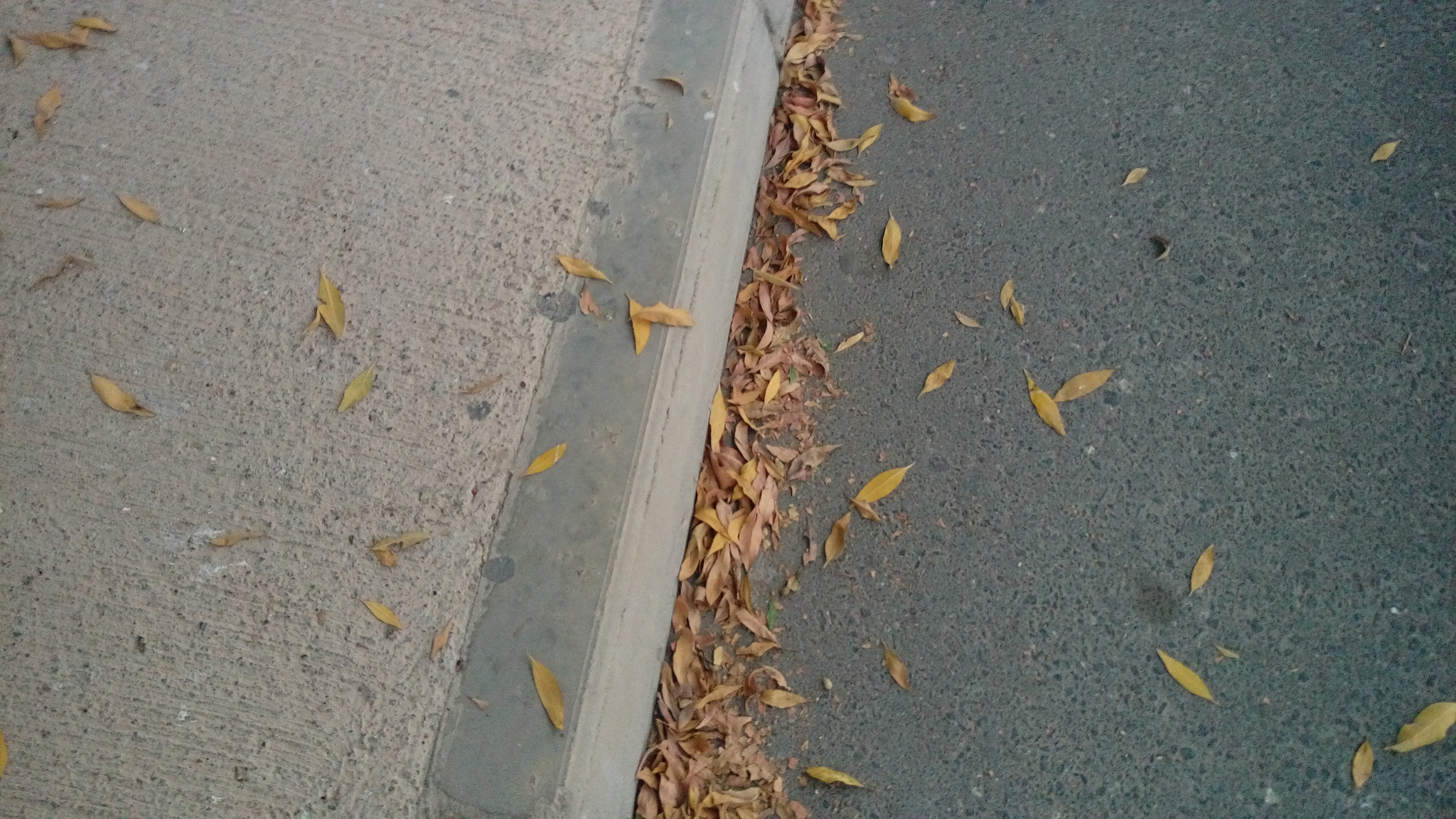 HTC ONE M9PLUS sample photo