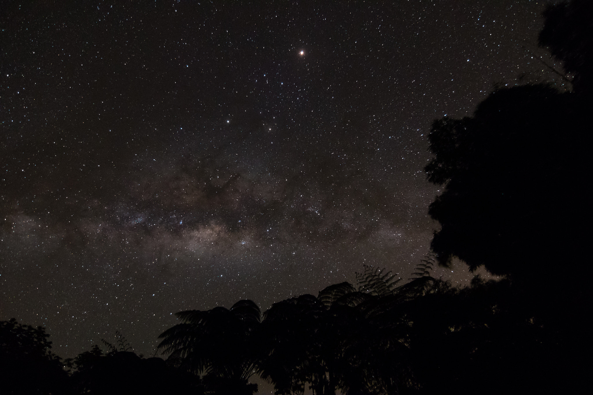 Tokina AT-X Pro 12-24mm F4 (IF) DX sample photo. Rainforest milky way photography