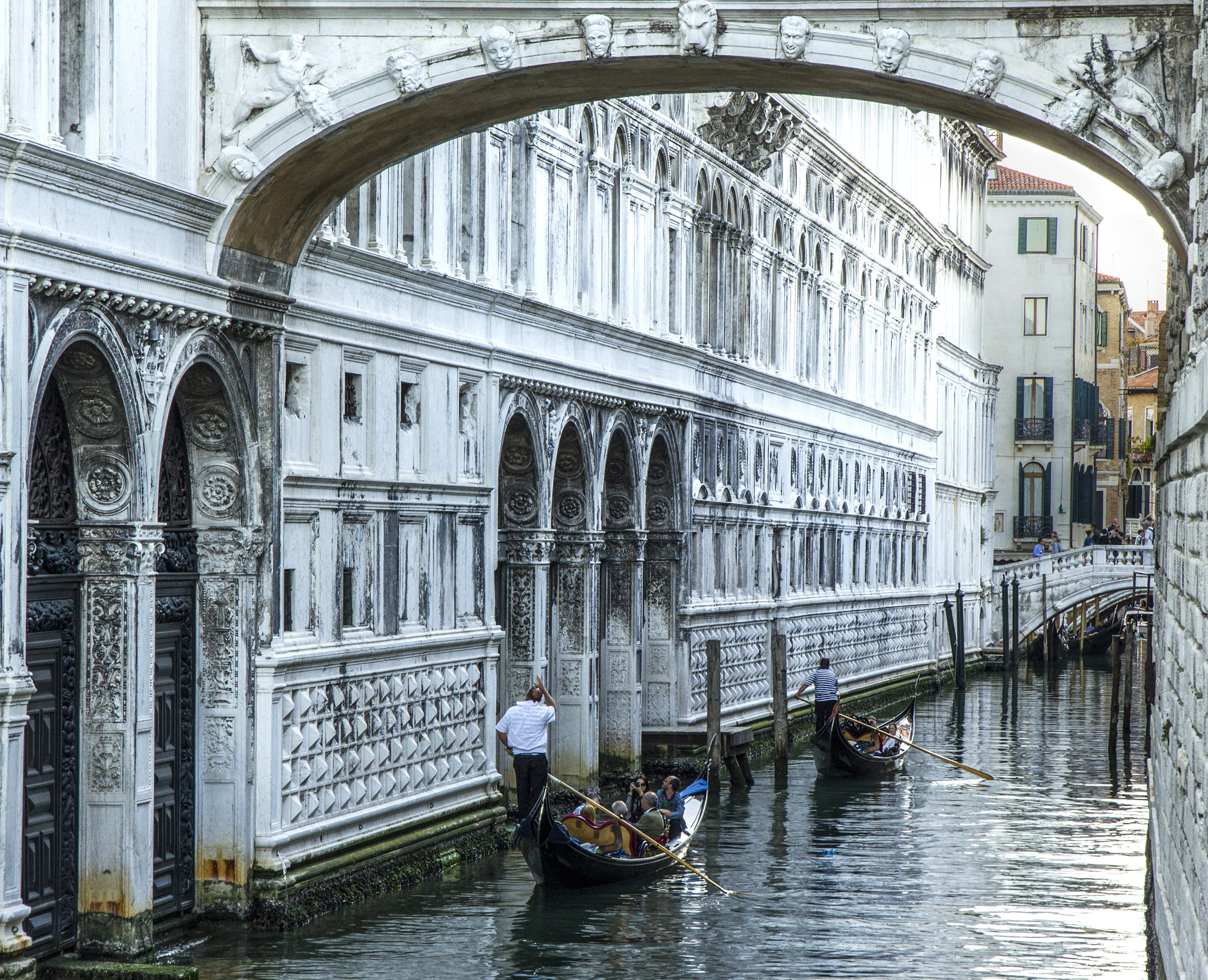 Canon EOS 550D (EOS Rebel T2i / EOS Kiss X4) sample photo. White venice photography