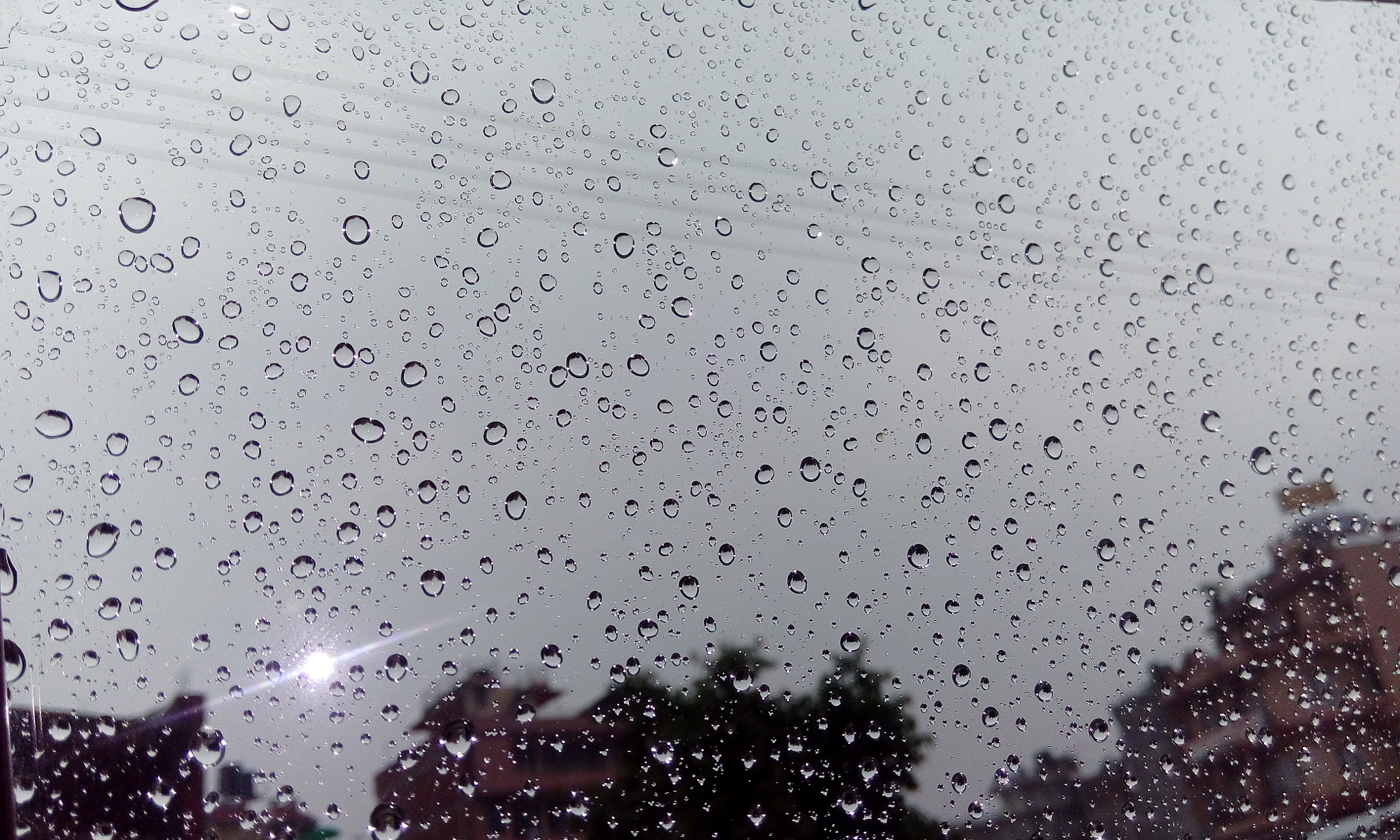 HTC DESIRE 626G+ DUAL SIM sample photo. Water droplets photography