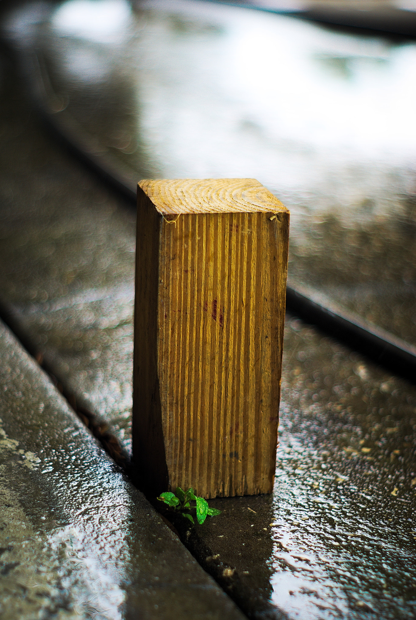 Sony Alpha DSLR-A100 + Minolta AF 50mm F1.7 sample photo. Monument to the storm photography