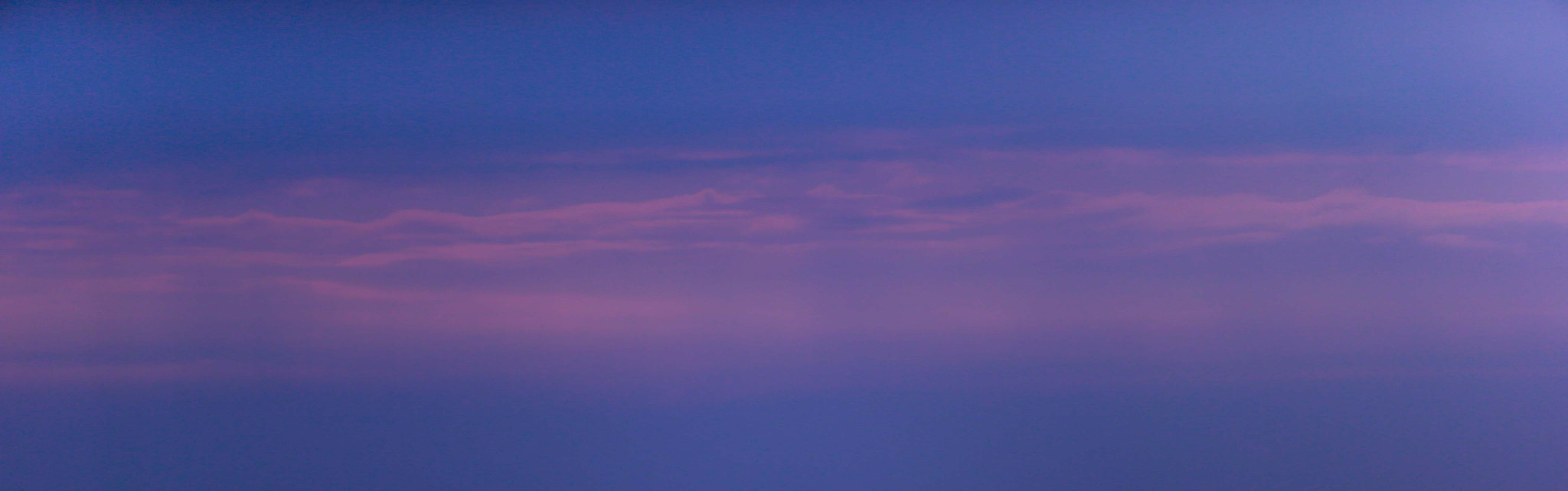 Canon EOS-1D X + Canon EF 200mm F2L IS USM sample photo