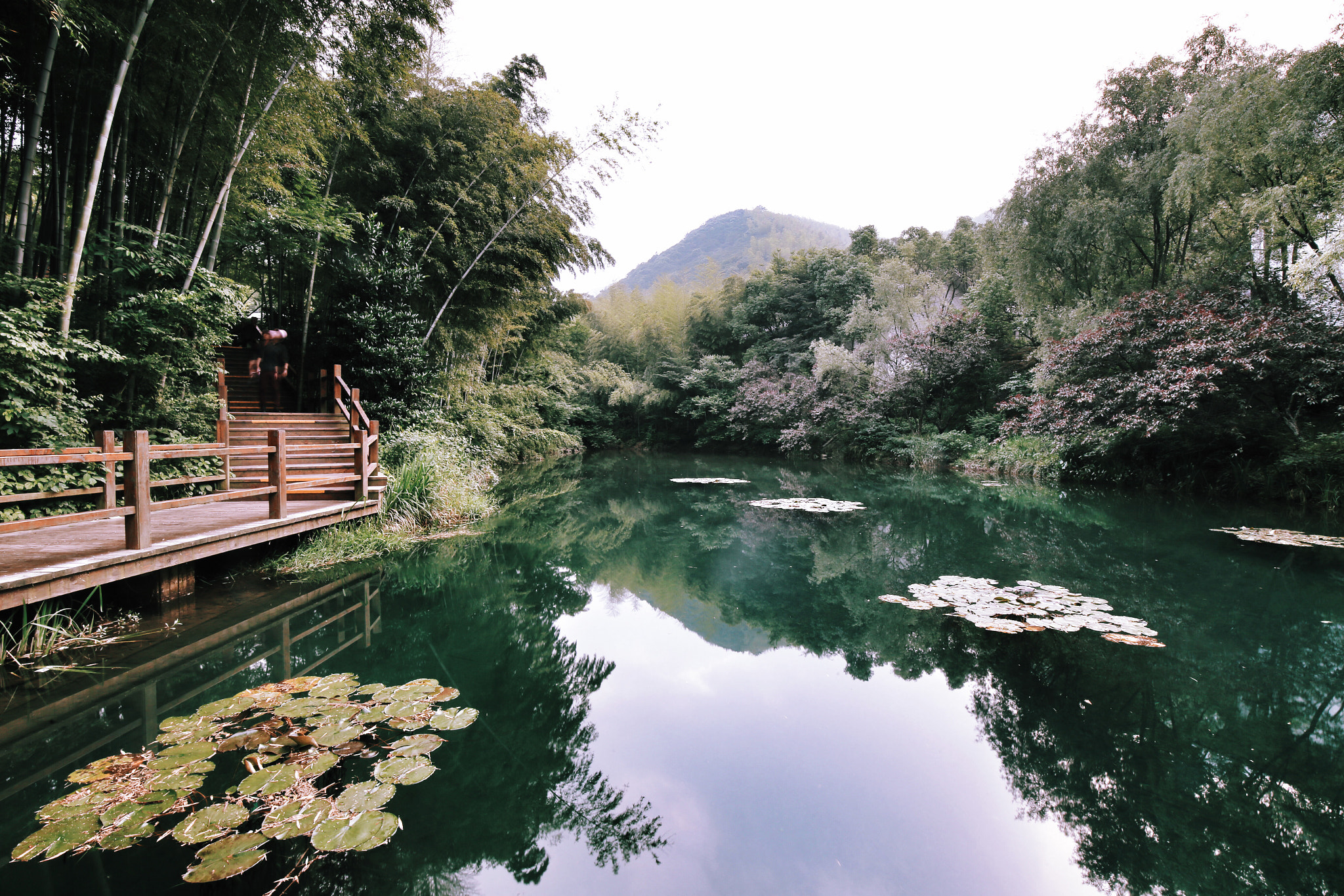 Canon EF 16-35mm F4L IS USM sample photo. 南山竹海 photography