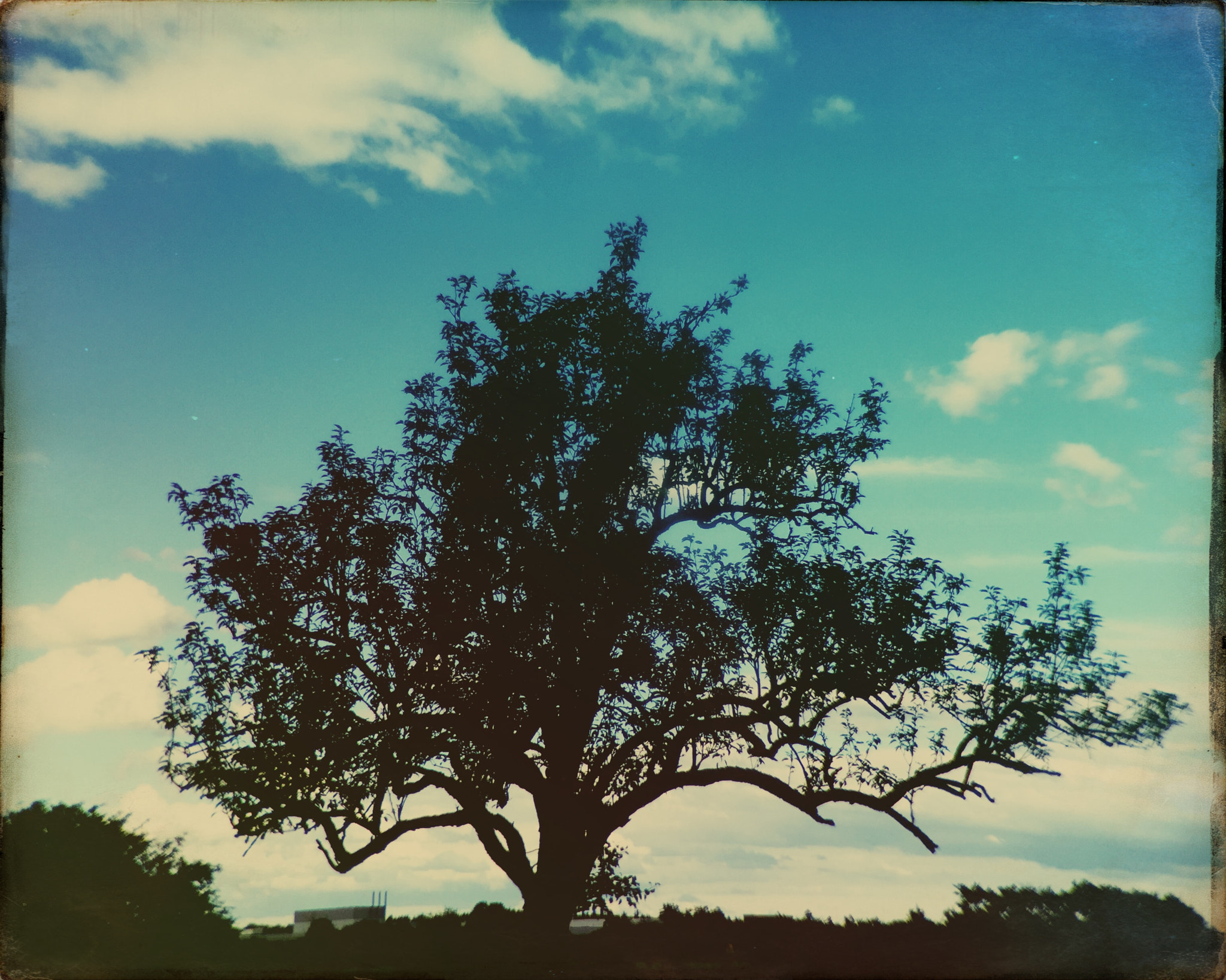 Hipstamatic 313 sample photo