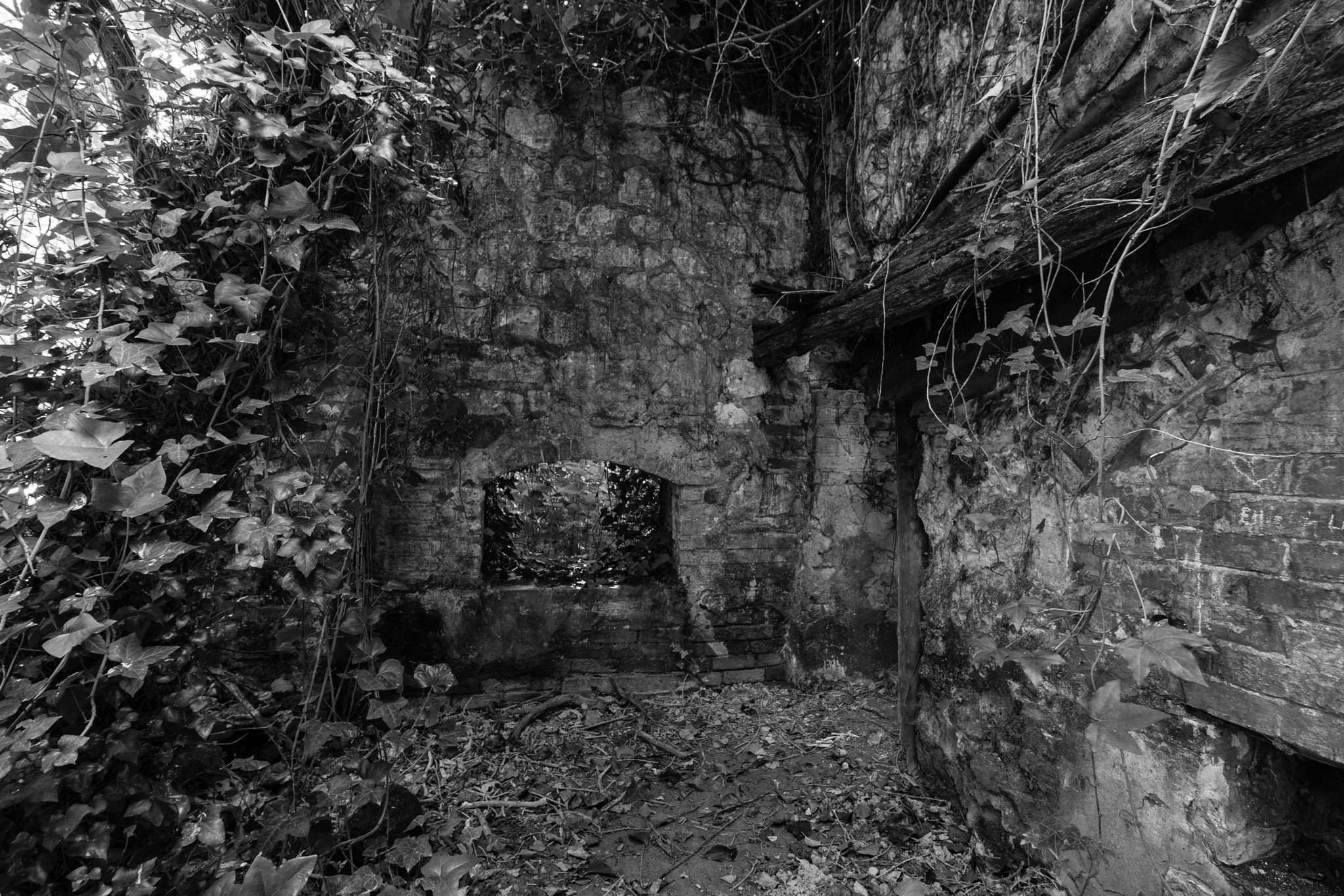 Canon EF-S 10-18mm F4.5–5.6 IS STM sample photo. Rural abandoned house photography