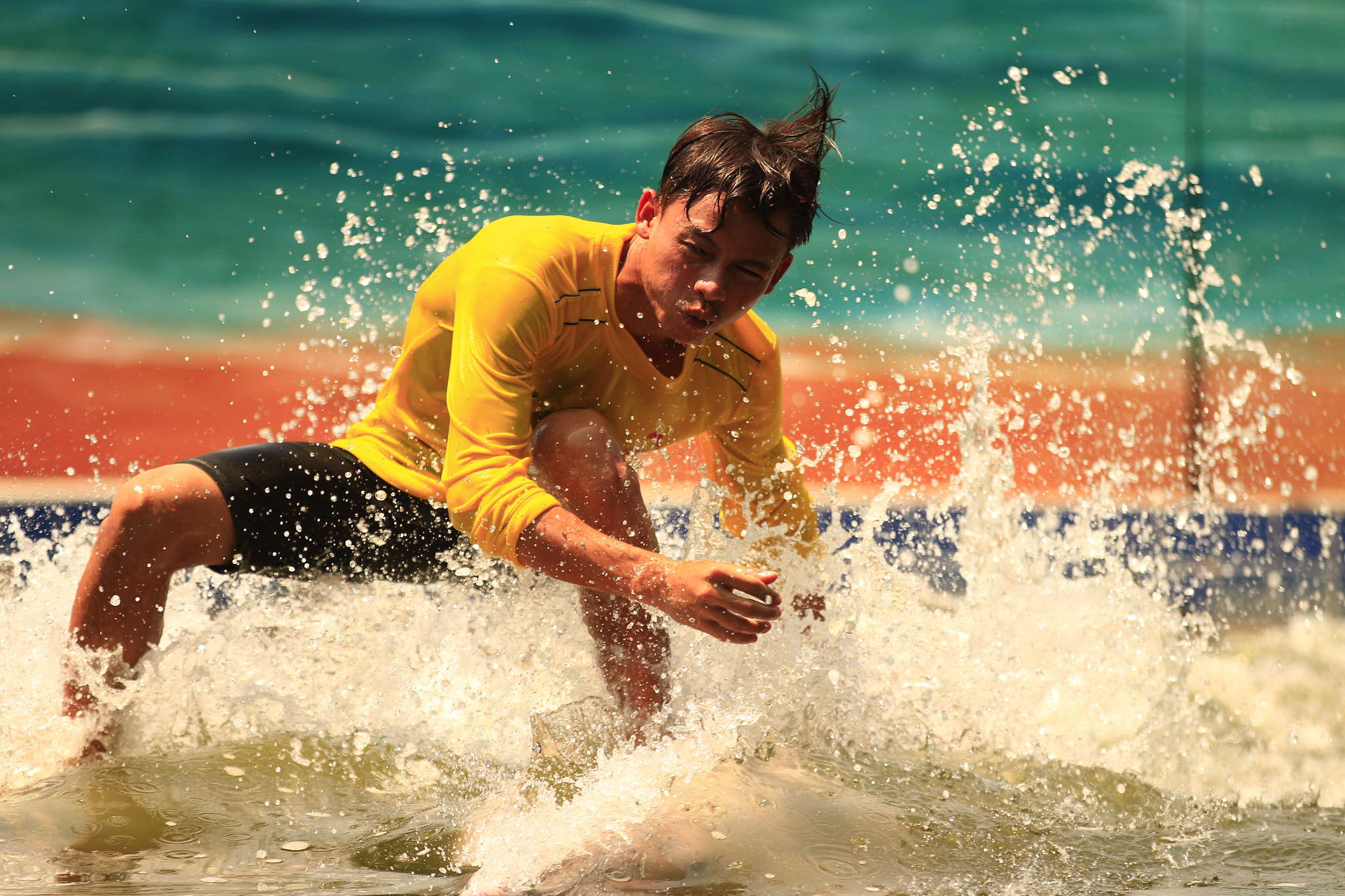 Canon EF 70-200mm F2.8L IS II USM sample photo. Dolphin show. photography