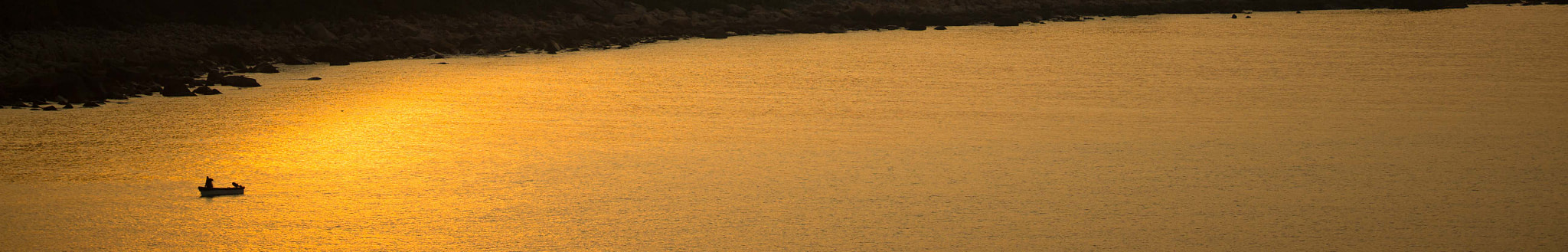 Canon EOS-1D X + Canon EF 200mm F2L IS USM sample photo