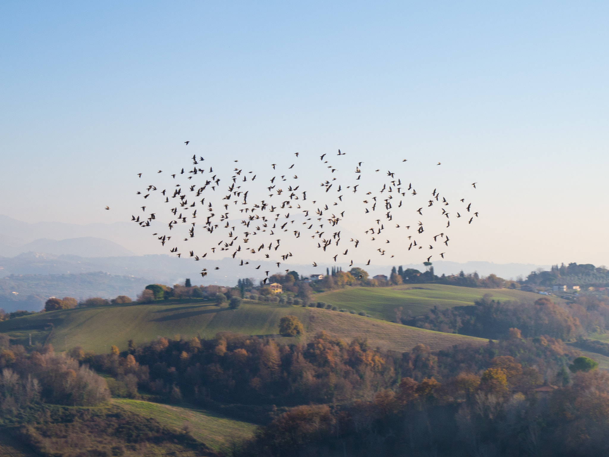 Panasonic Lumix DMC-GX1 sample photo. Birds over a hilly landscape photography
