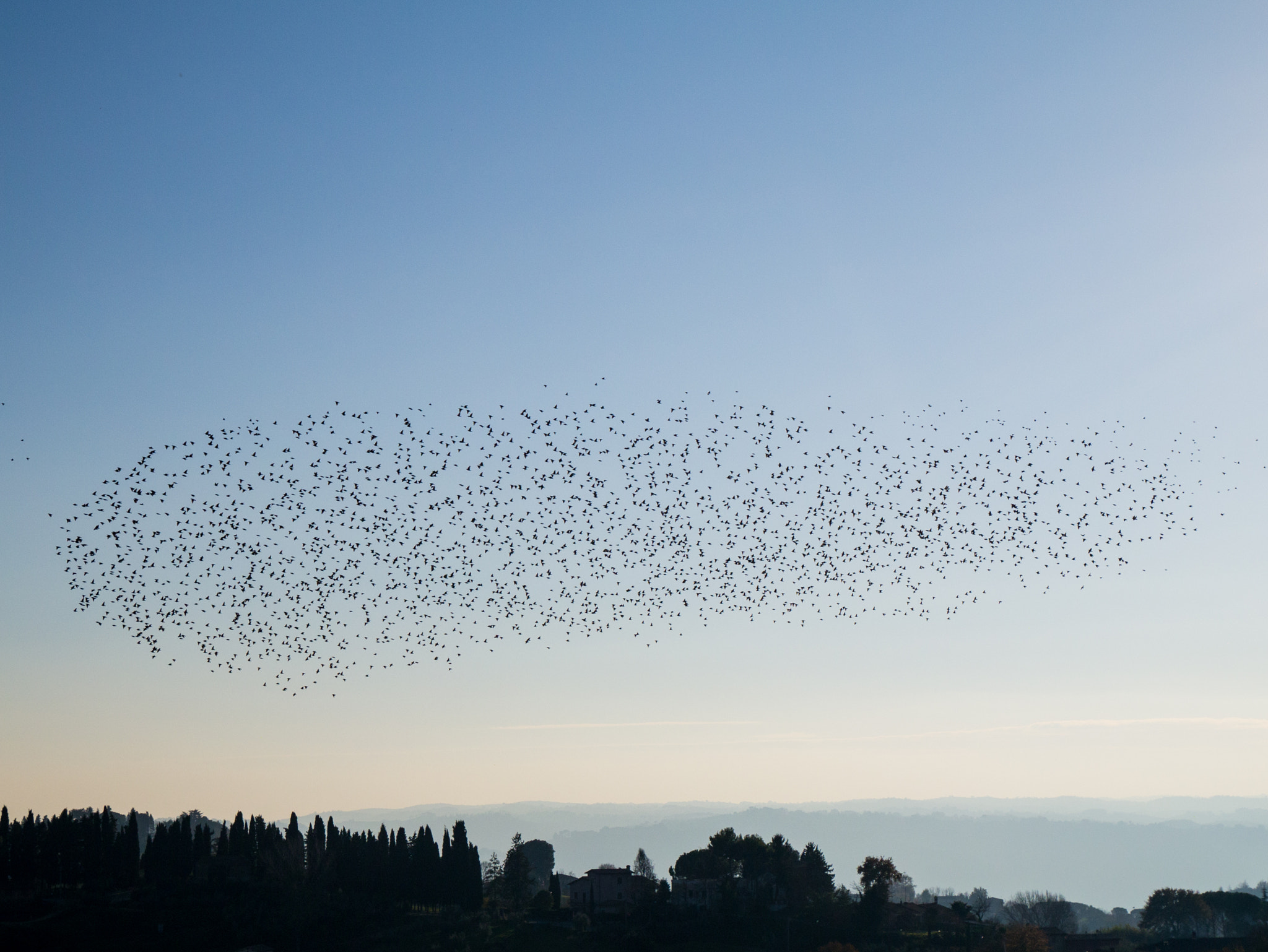 Panasonic Lumix DMC-GX1 sample photo. Flock comet photography
